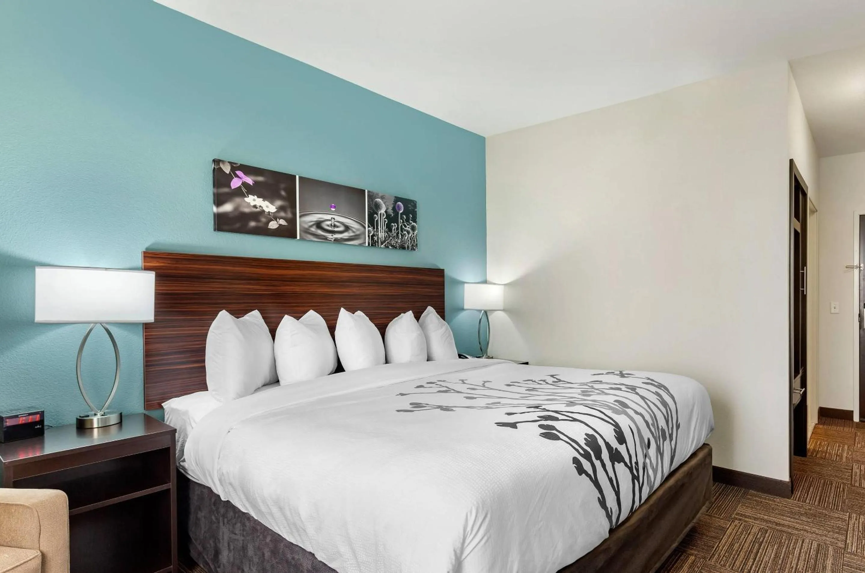 King Room - Non-Smoking in Sleep Inn Lancaster Dallas South