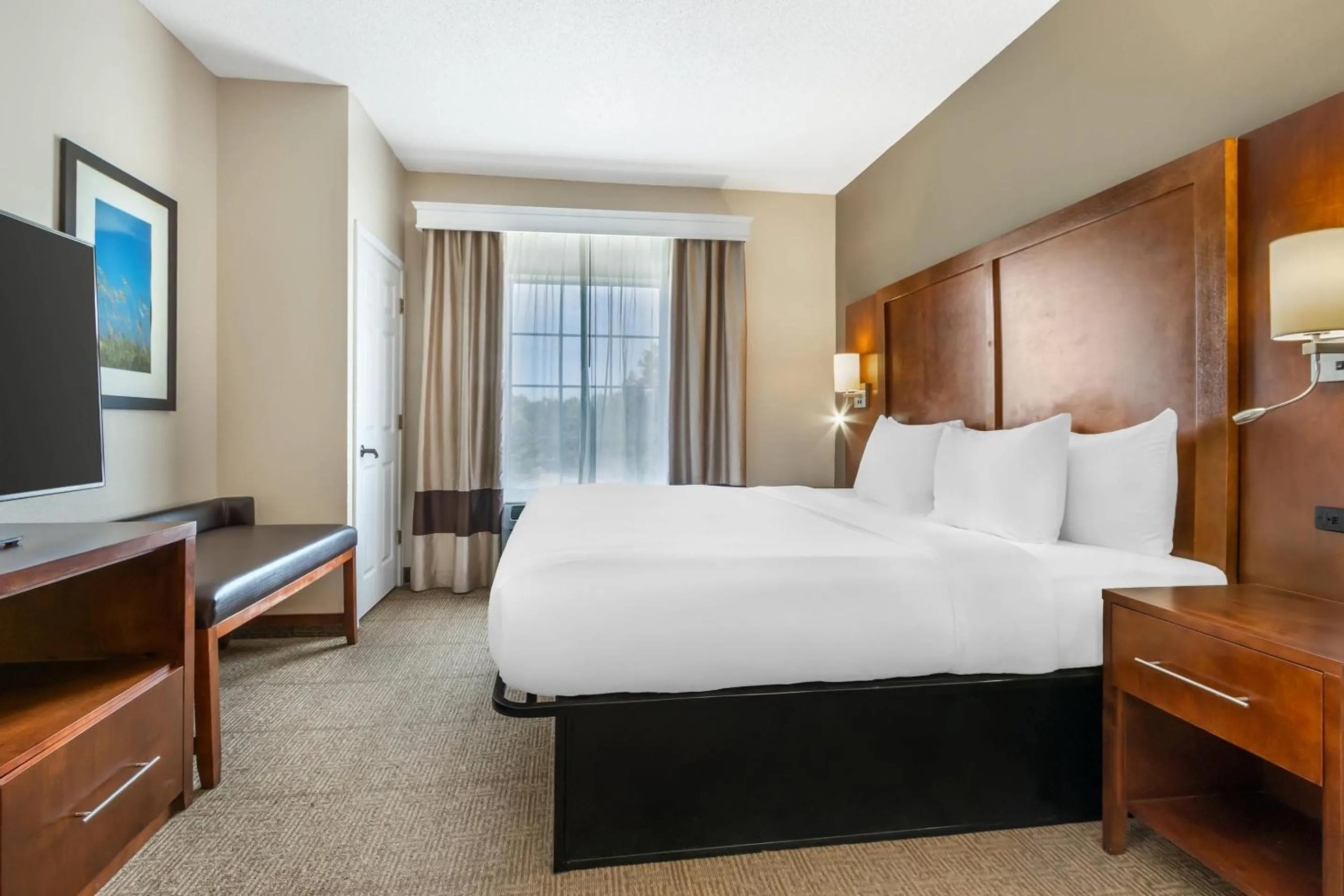 Standard King Room - Non-Smoking  in Comfort Suites Myrtle Beach Central