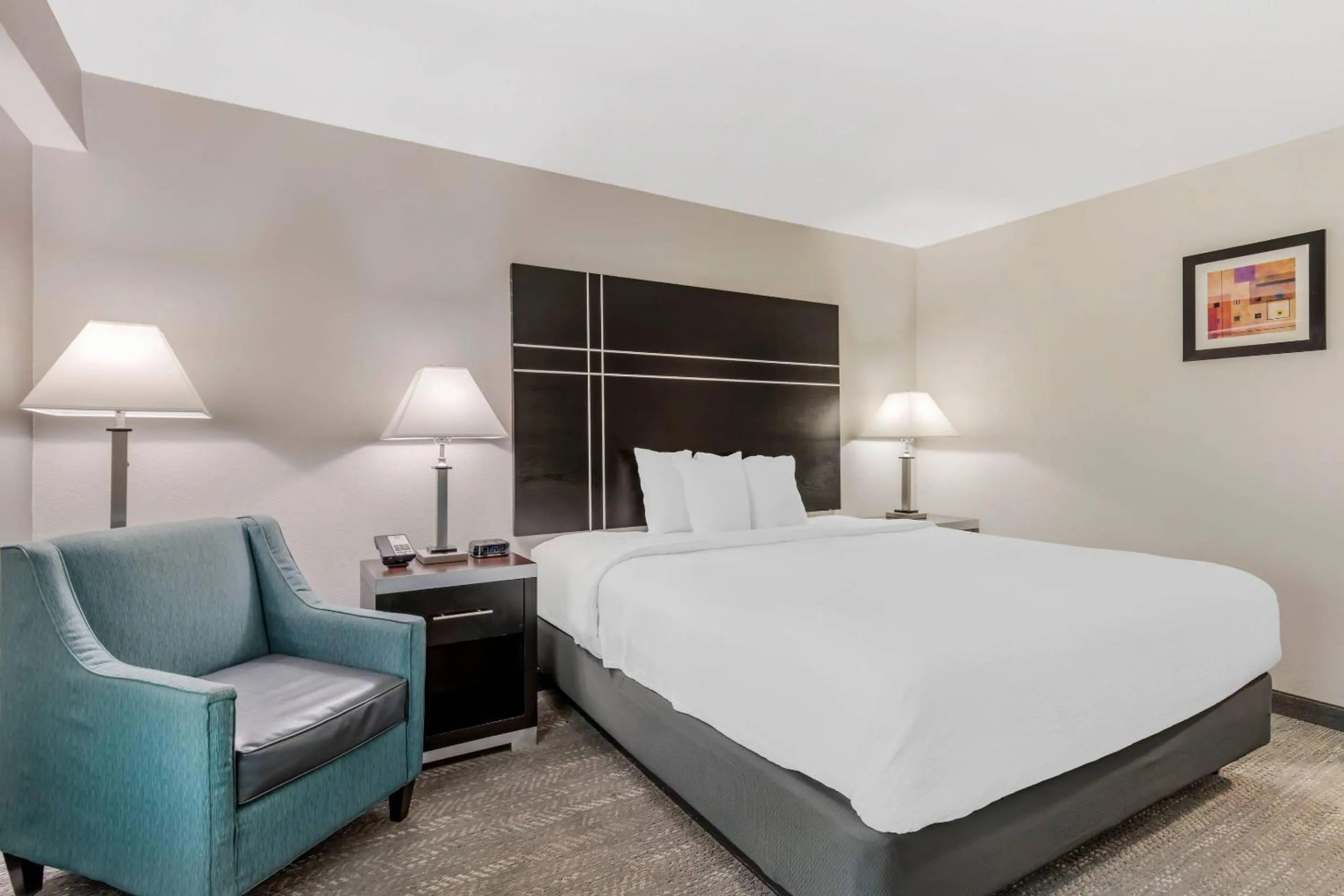 King Room - Non-Smoking in Quality Inn & Suites Union City - Atlanta South