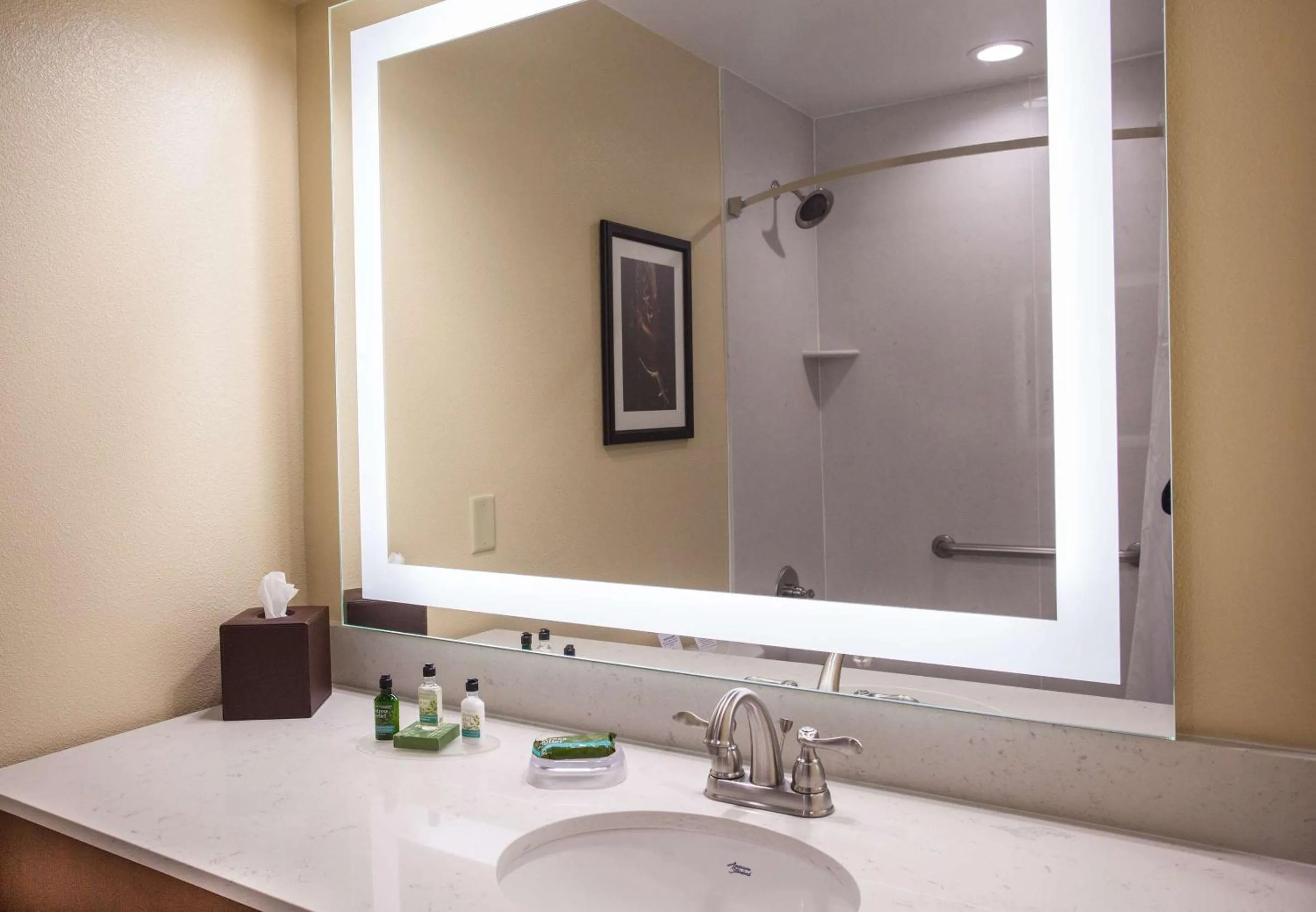 King Room with Roll-In Shower - Mobility Access/Communication Assistance in Best Western Plus Inn of Williams