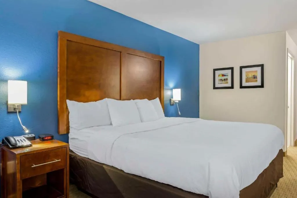 King Room - Non Smoking in Comfort Inn Garner Clayton I-40