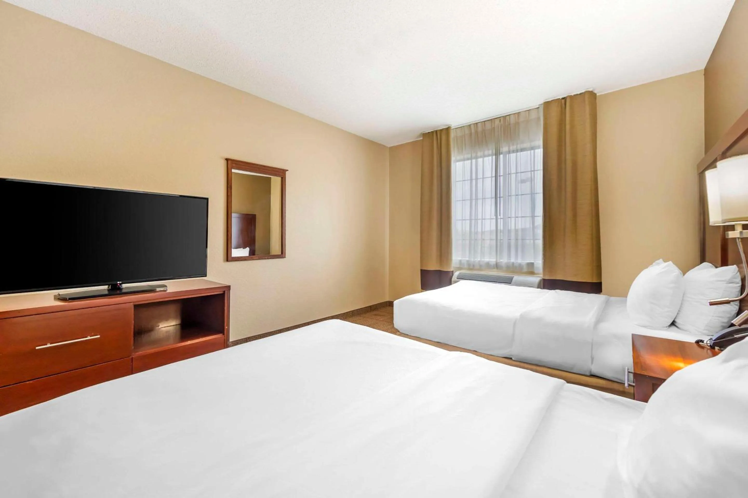 Deluxe Queen Suite with Two Queen Beds and Sofa Bed - Non Smoking in Comfort Suites Castle Rock