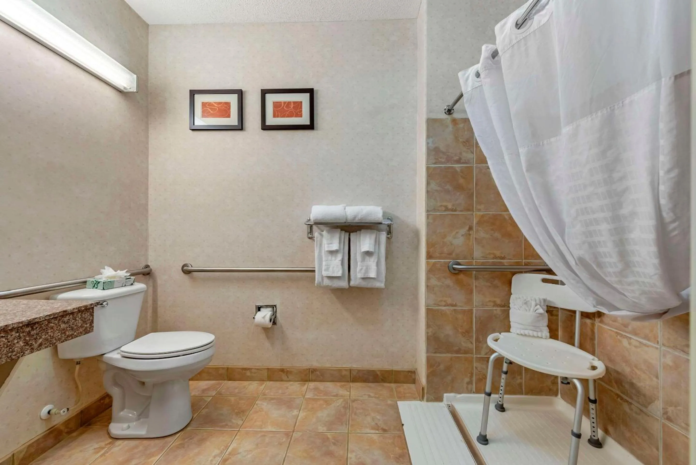 Superior Business King Suite - Accessible/Non-Smoking in Comfort Suites Castle Rock - Denver South