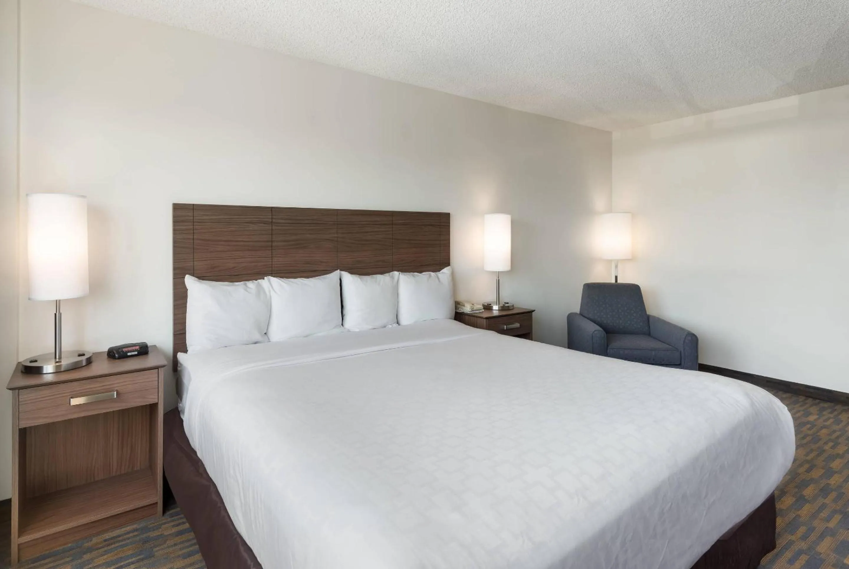 Queen Room - Accessible/Exterior in Clarion Hotel Concord-Walnut Creek
