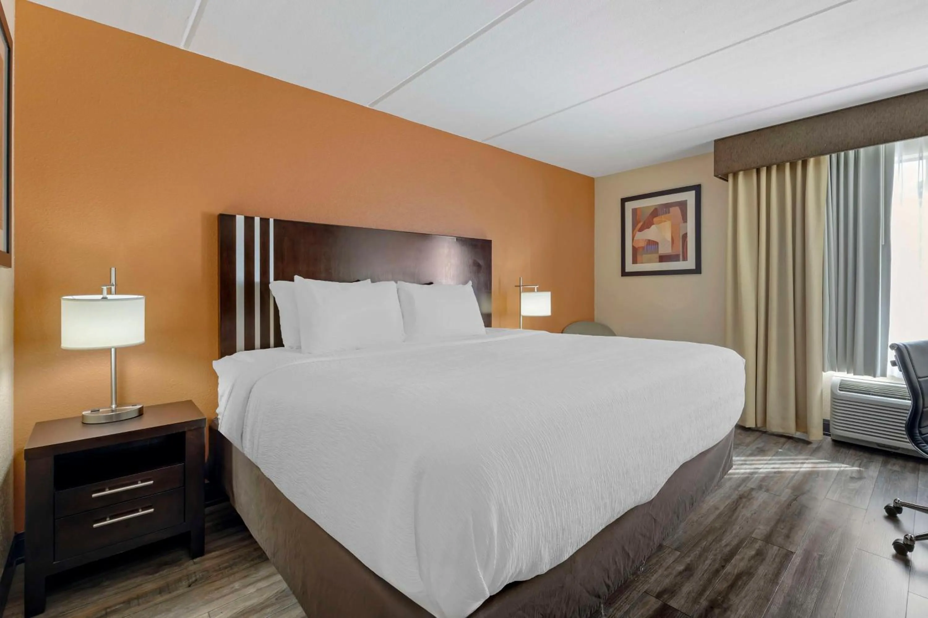 King Room with Roll-In Shower - Disability Access in Best Western Kimball Inn