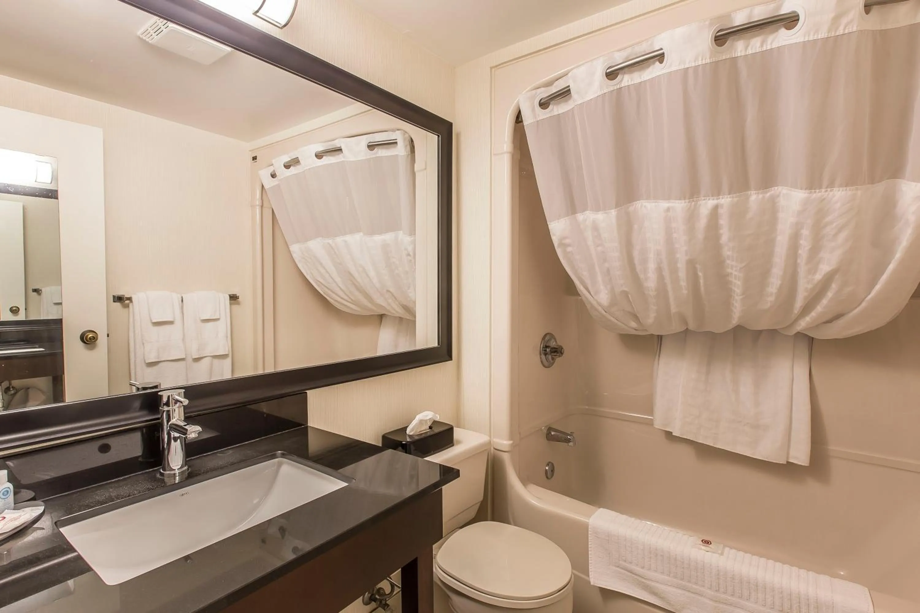 Double Room in Comfort Inn