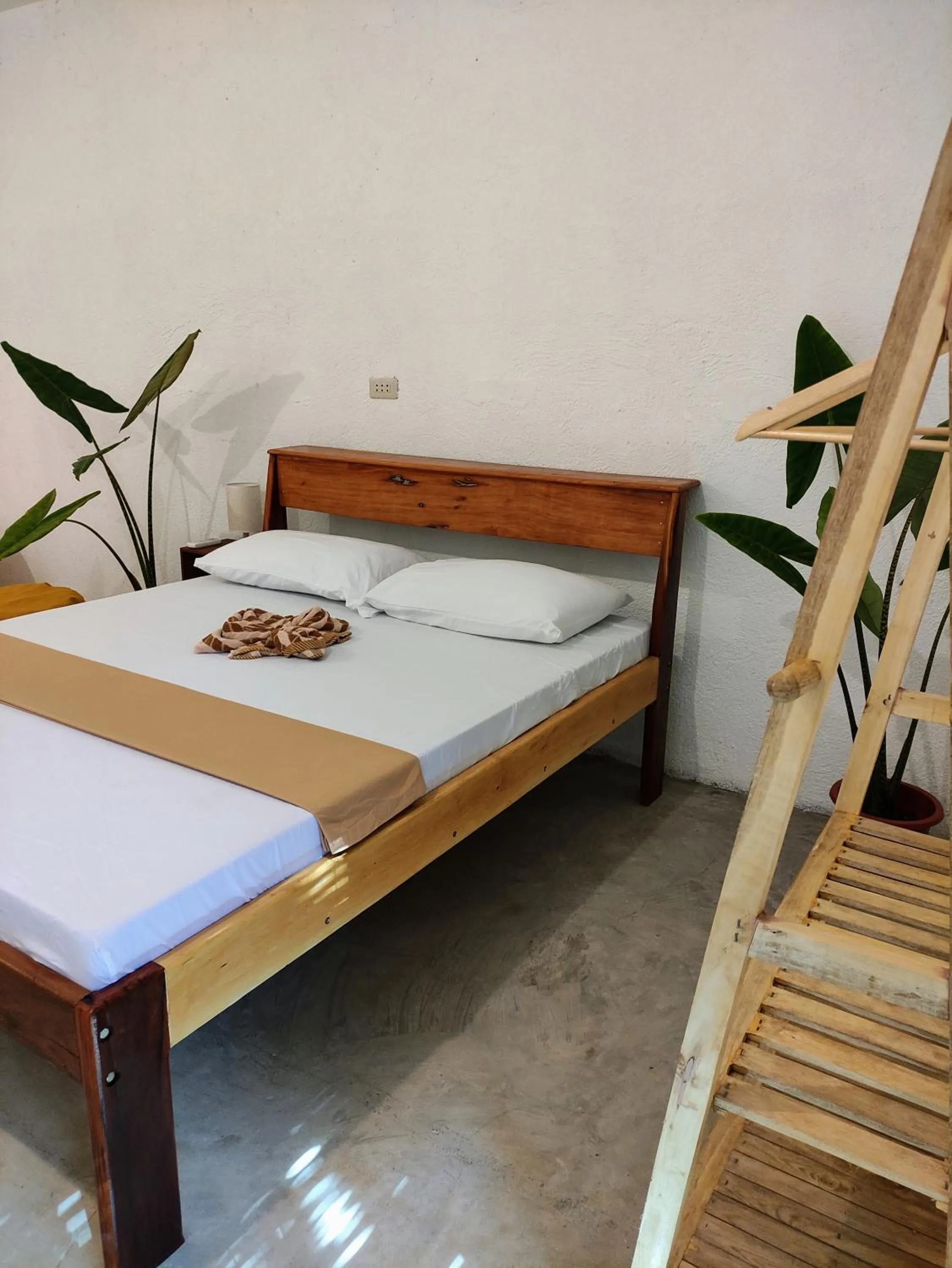 Queen Room with Shared Bathroom in Sunlit Hostel