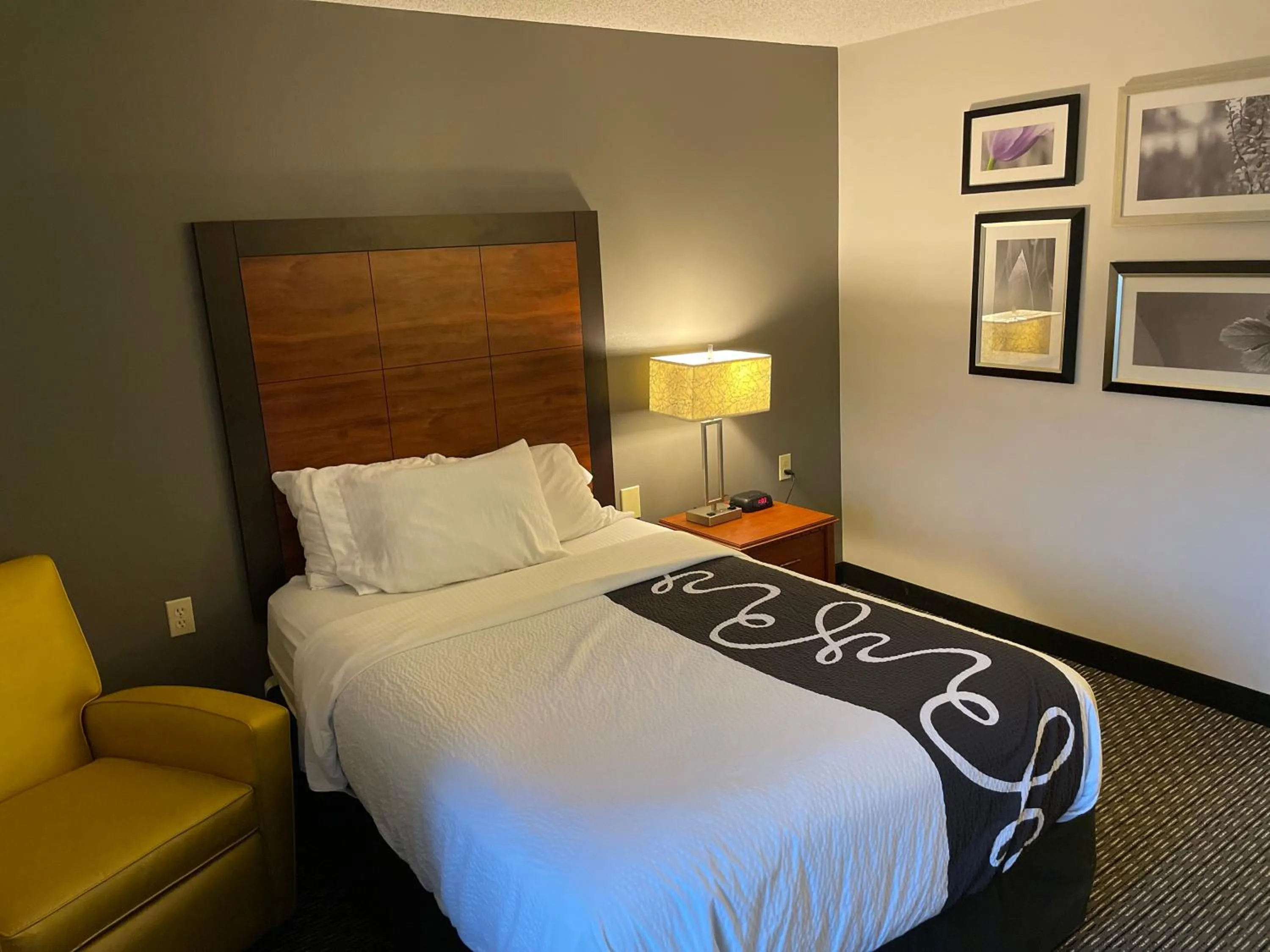 Double Room - Disability Access in La Quinta by Wyndham N Little Rock - McCain Mall