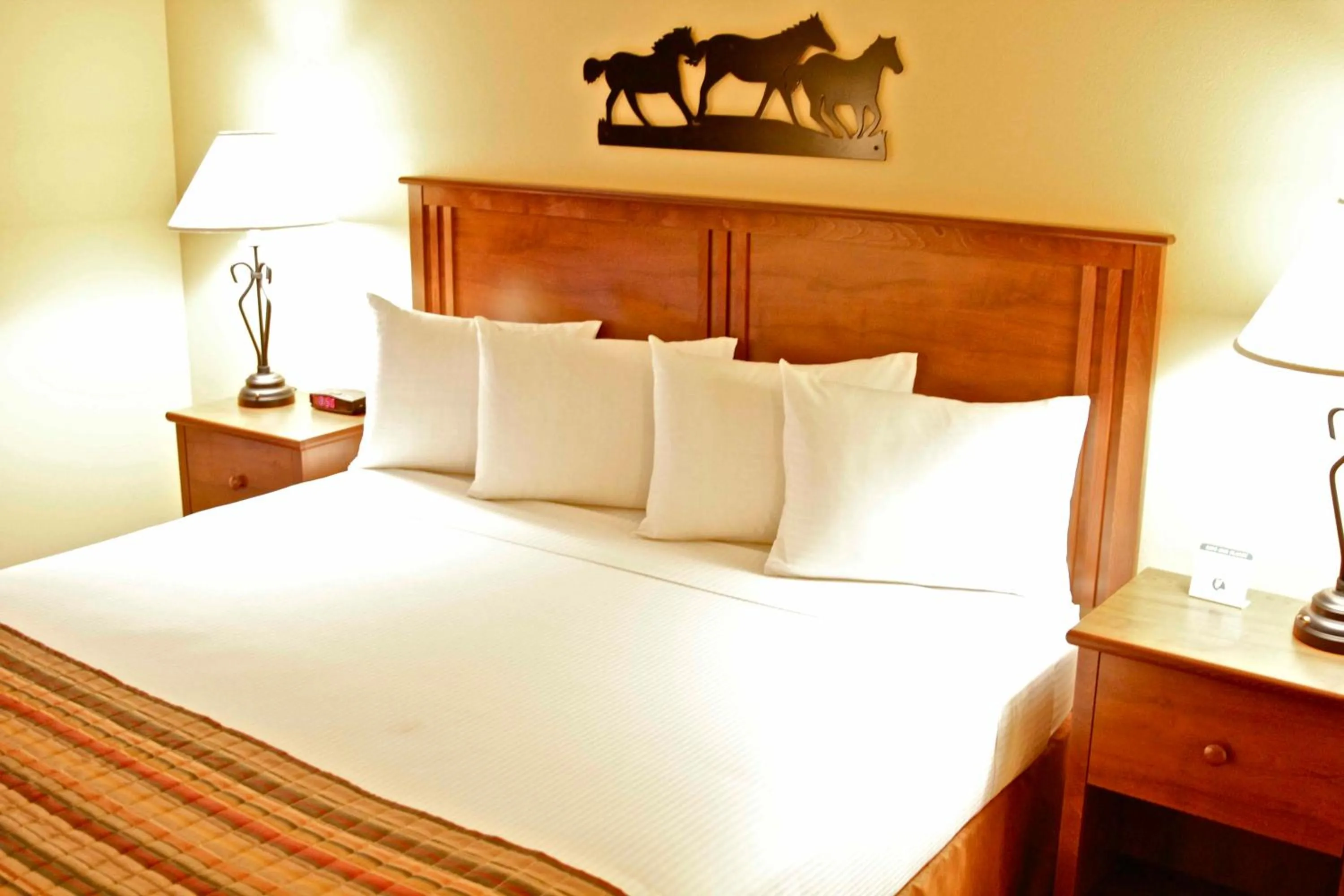 King Room - Disability Access in Arbuckle Lodge Gillette