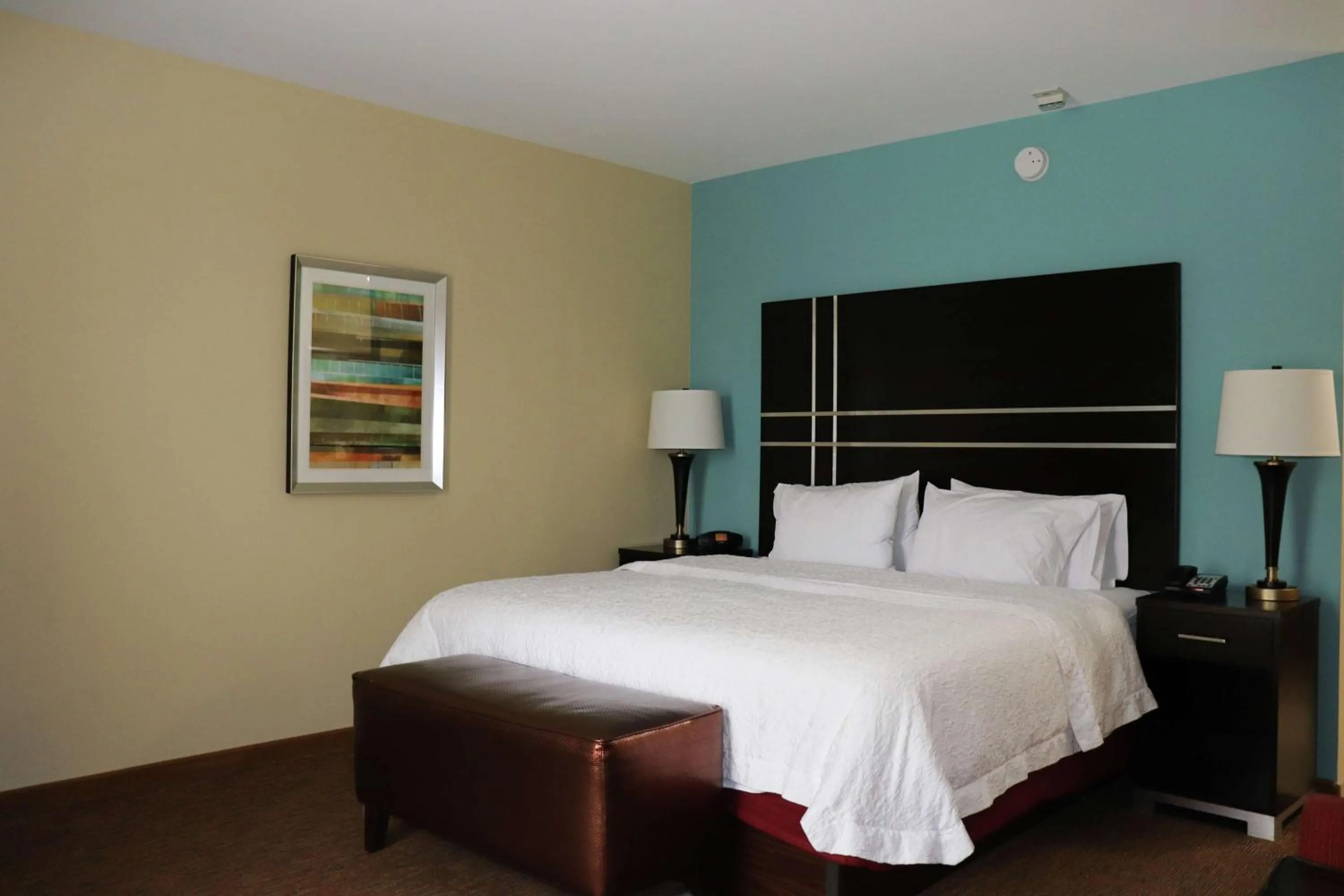 King Room - Mobility Access/Non-Smoking in Hampton Inn Austin Oak Hill
