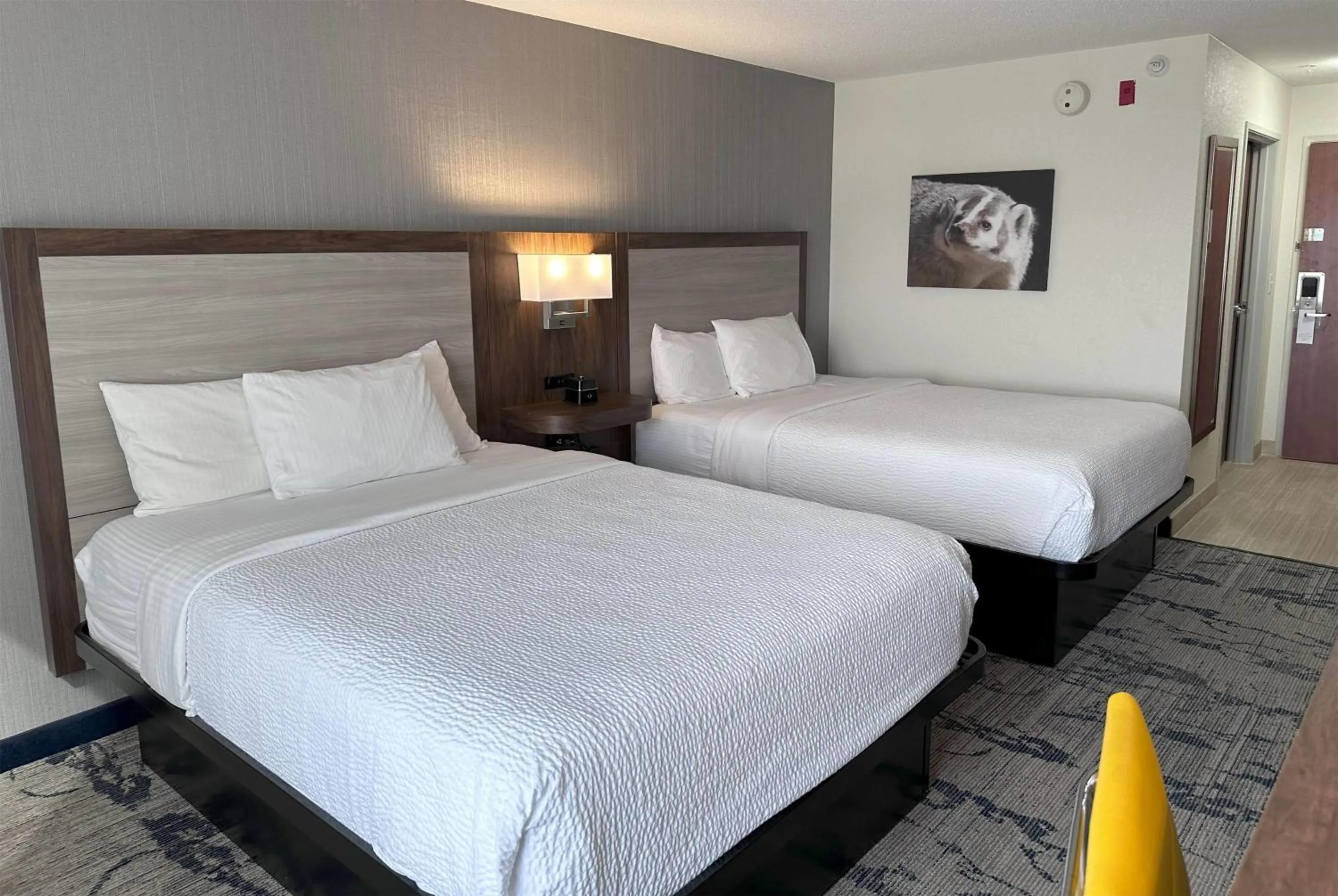Double Room with Two Double Beds and Bath Tub - Mobility/Hearing Accessible - Non-Smoking in La Quinta by Wyndham Milwaukee SW New Berlin