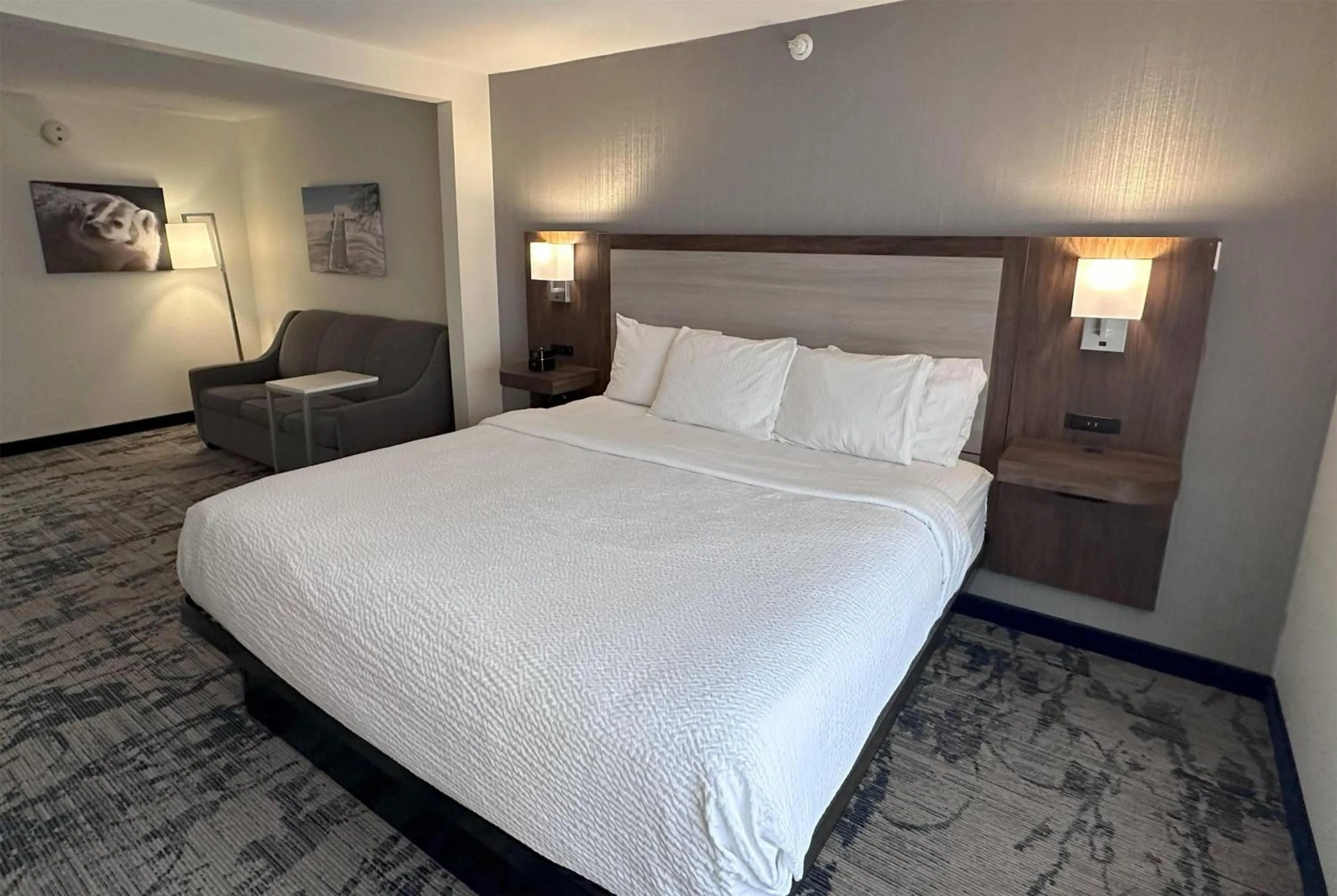 King Studio Suite - Pet-Friendly/Non-Smoking in La Quinta by Wyndham Milwaukee SW New Berlin