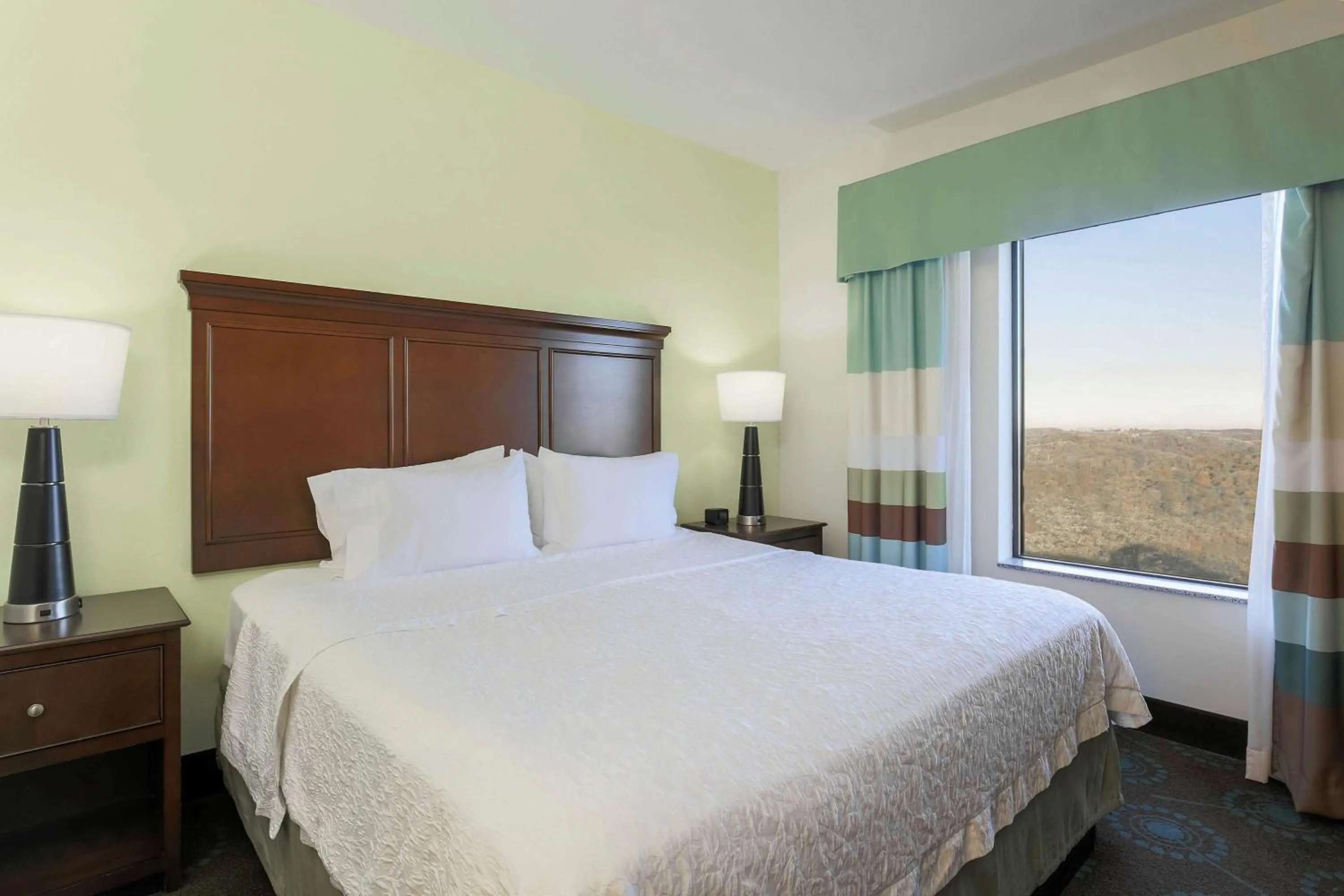 King Studio Suite with Sofa Bed - Non-Smoking in Hampton Inn & Suites Wheeling - The Highlands