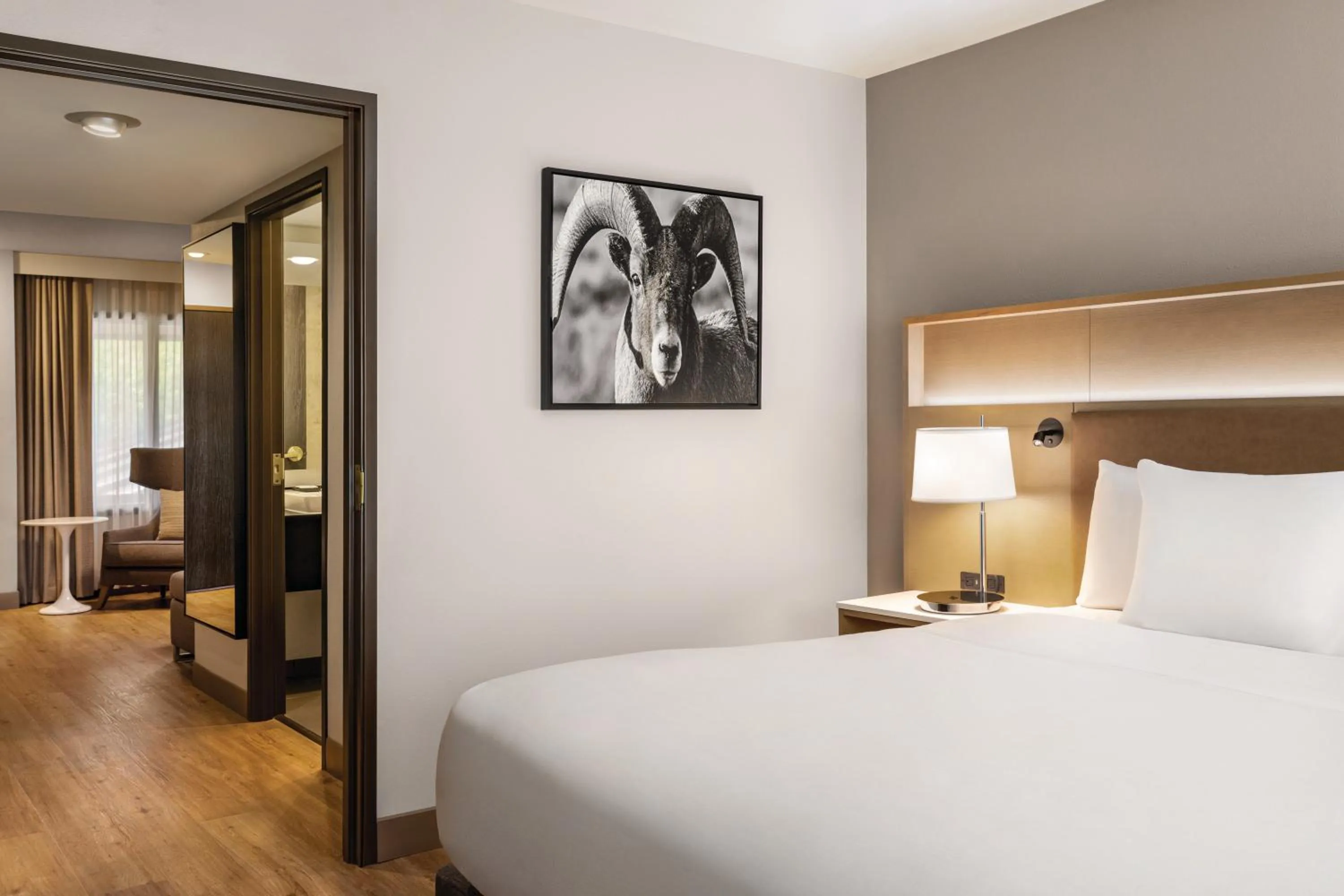 One-Bedroom King Suite with Sofa Bed - Non-Smoking in Radisson Hotel Colorado Springs Airport