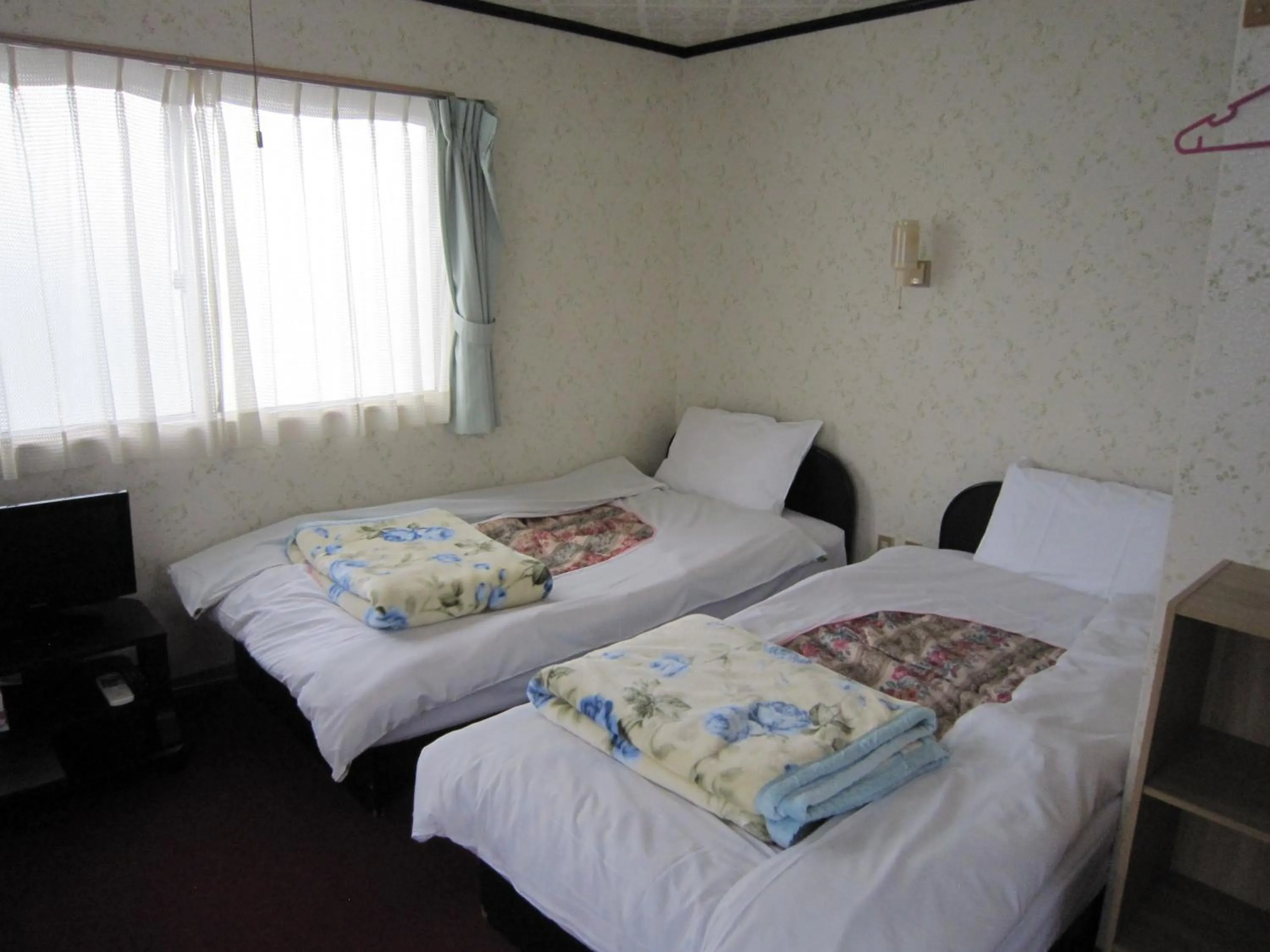Standard Twin Room with Shared Bathroom in Pension Kitashirakawa