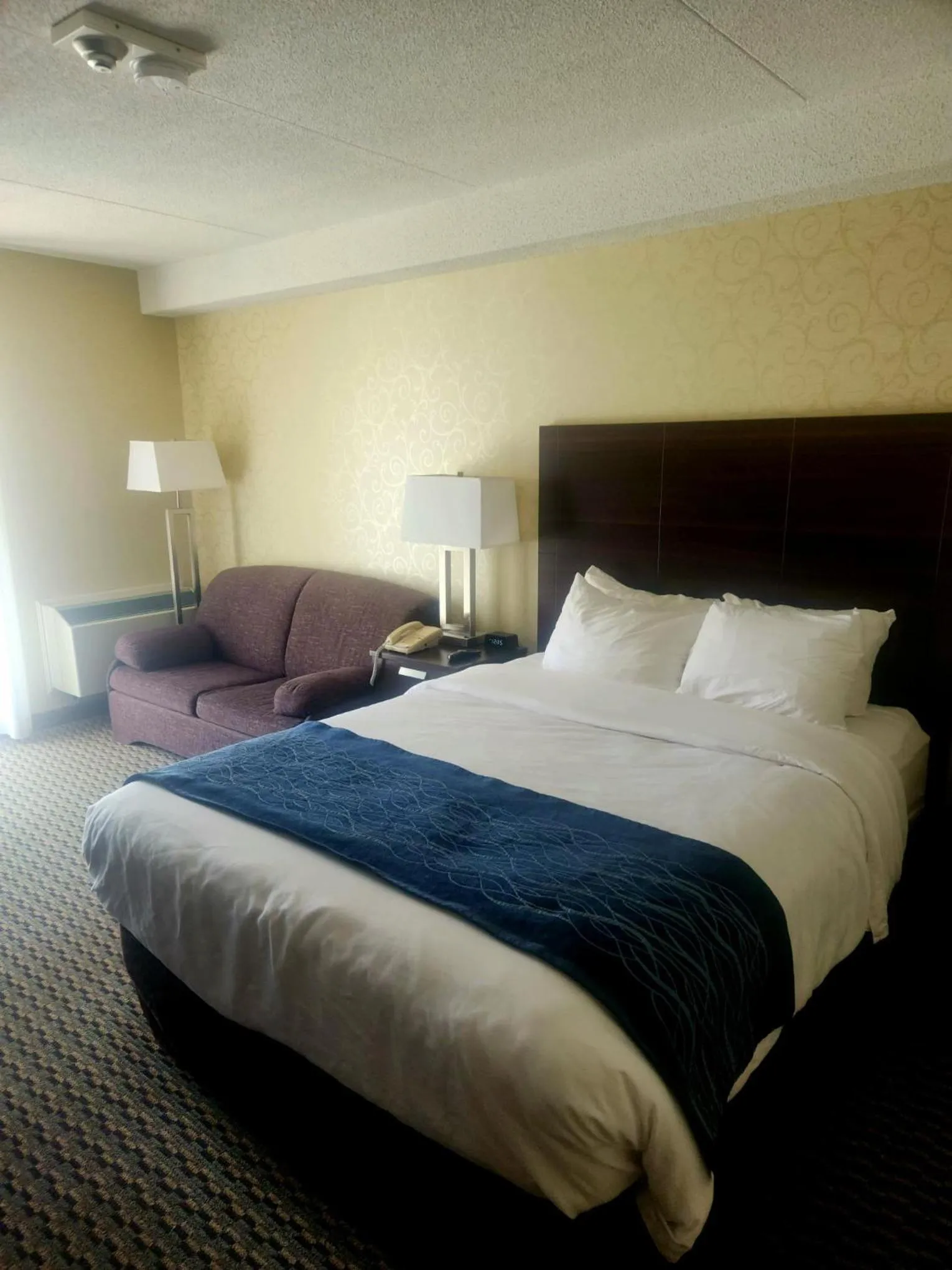 Queen Room - Ground Floor in Comfort Inn