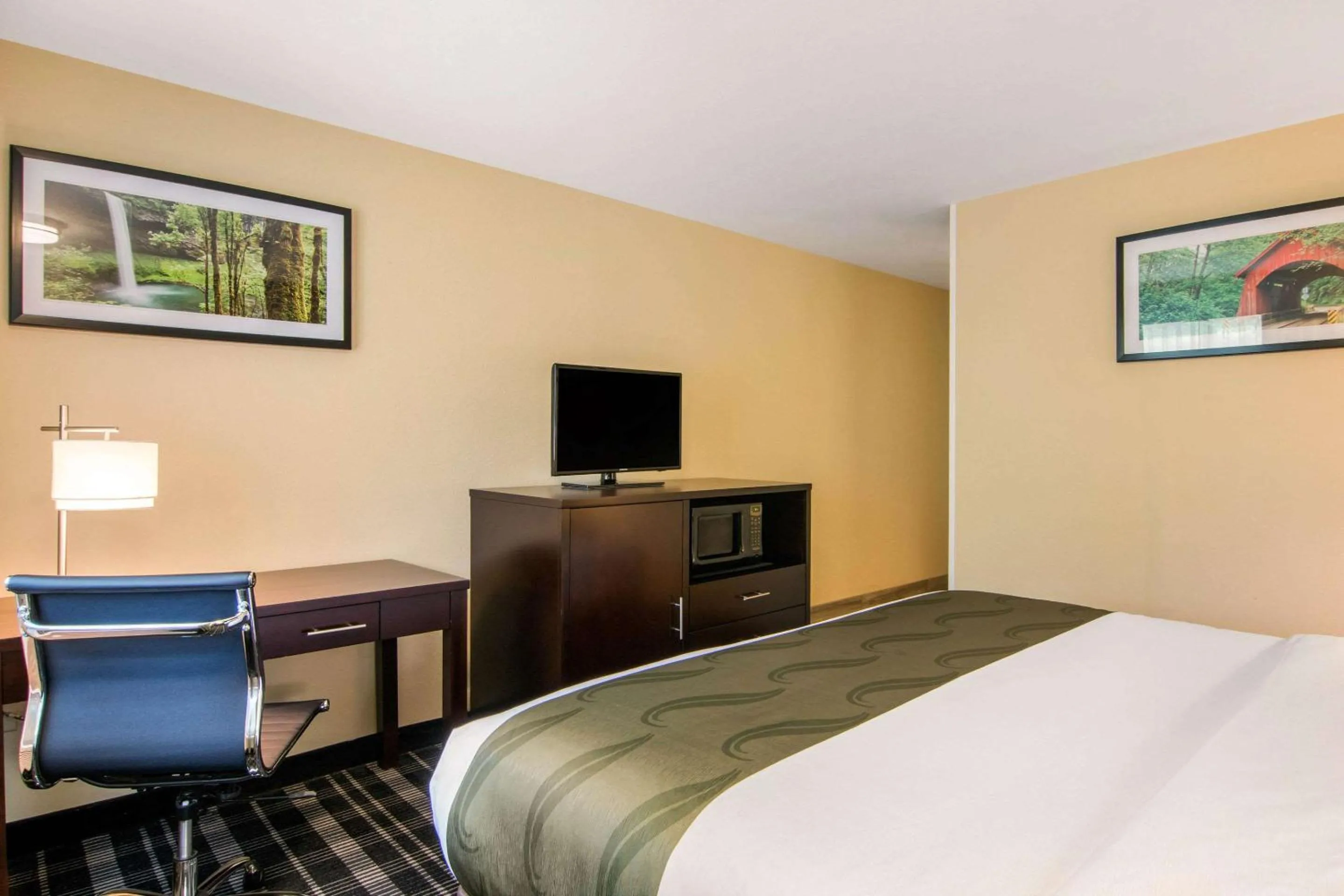 King Room - Non-Smoking in Quality Inn & Suites Albany Corvallis