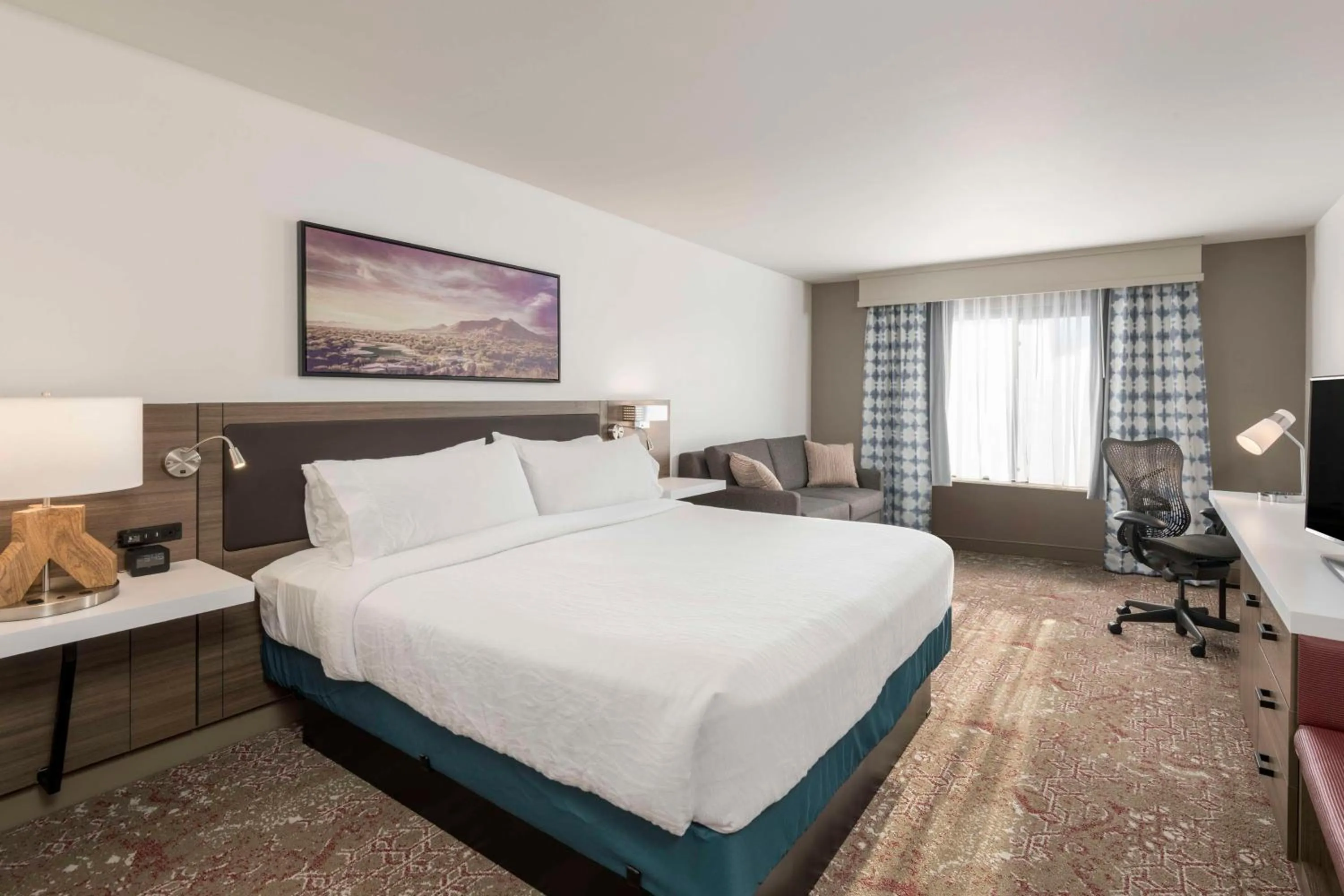 Deluxe King Room with Sofa Bed in Hilton Garden Inn Scottsdale North/Perimeter Center
