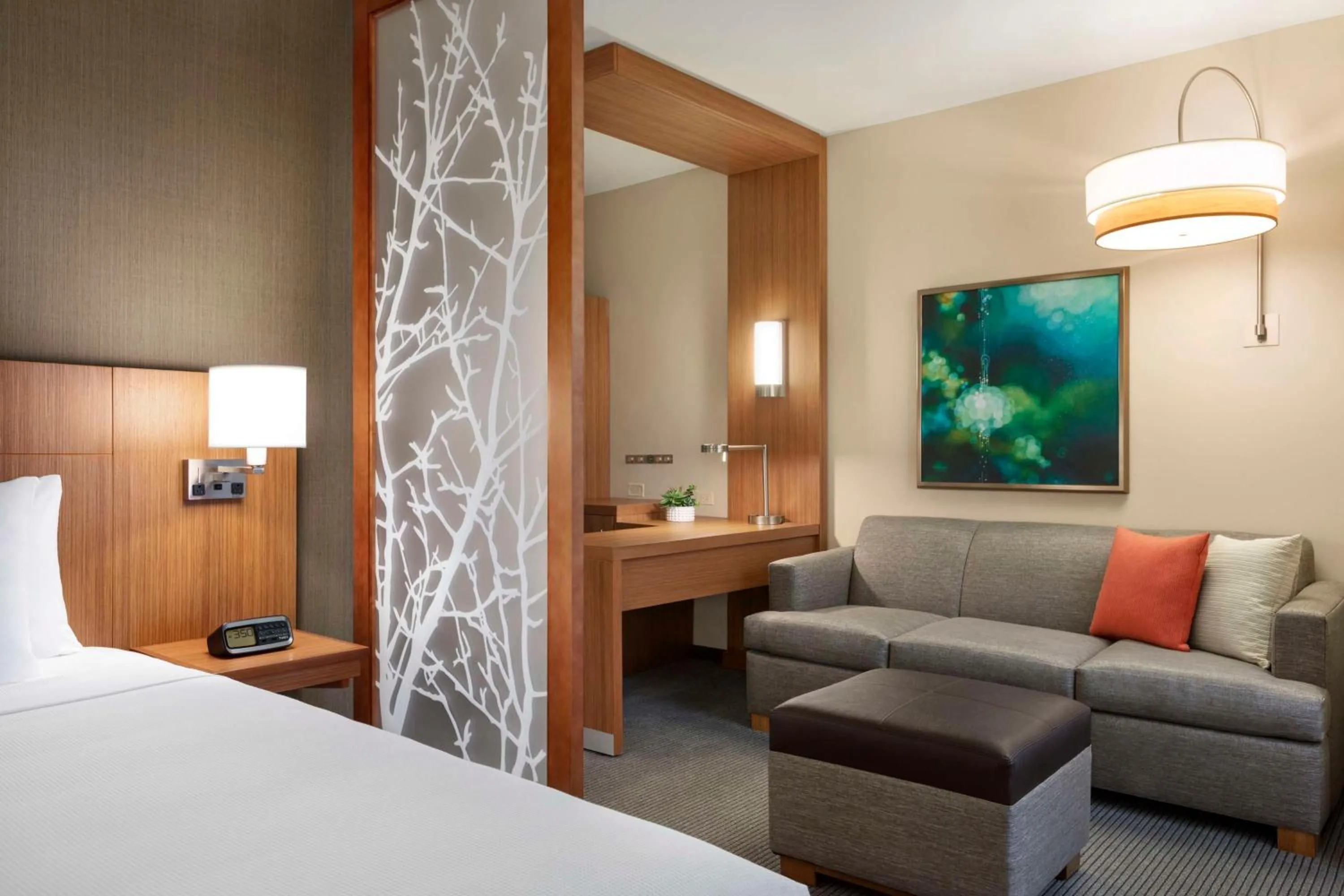 King Room with Sofa Bed in Hyatt Place Virginia Beach Town Center