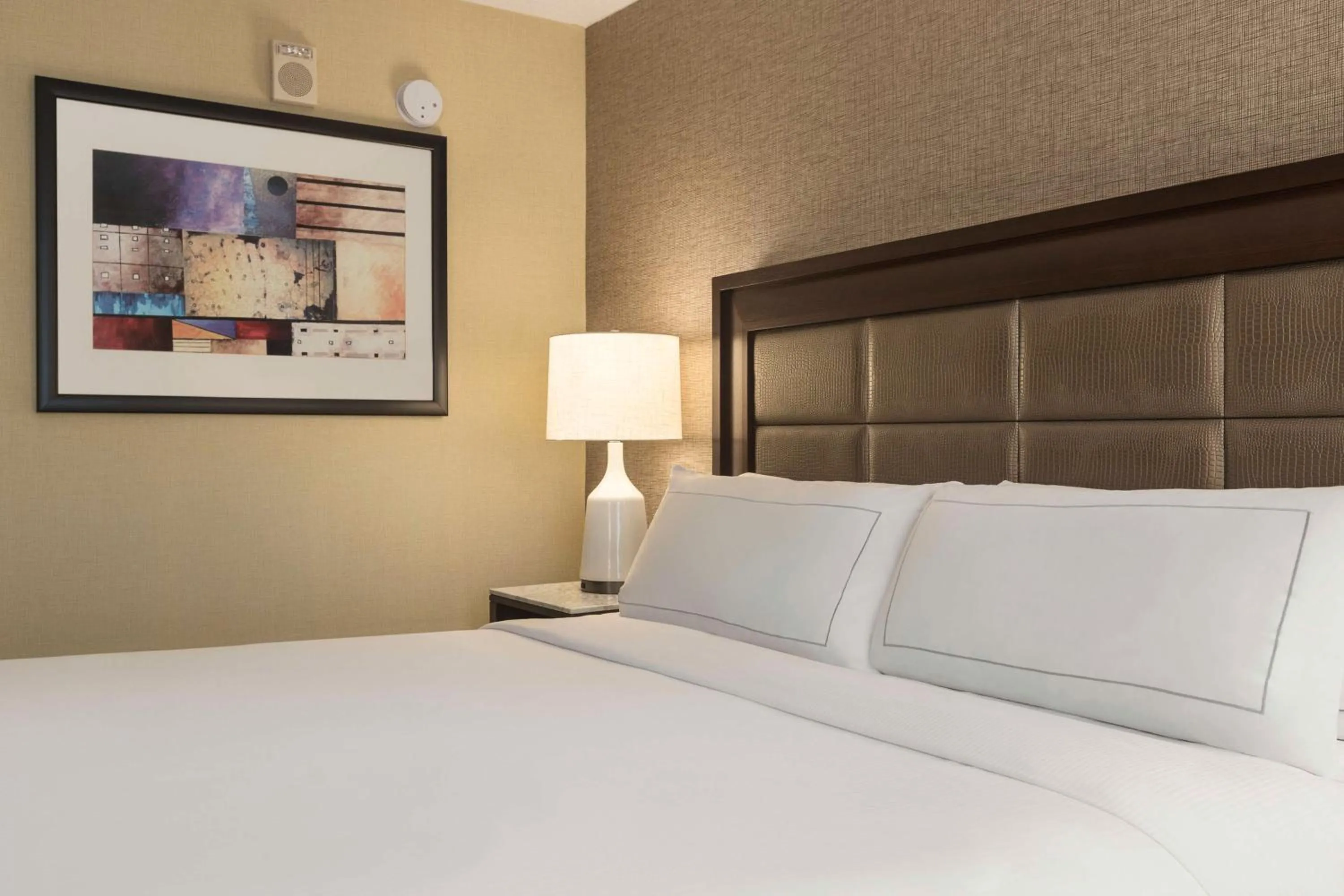 King Room with Tub - Mobility and Hearing Access in Hilton Tampa Downtown