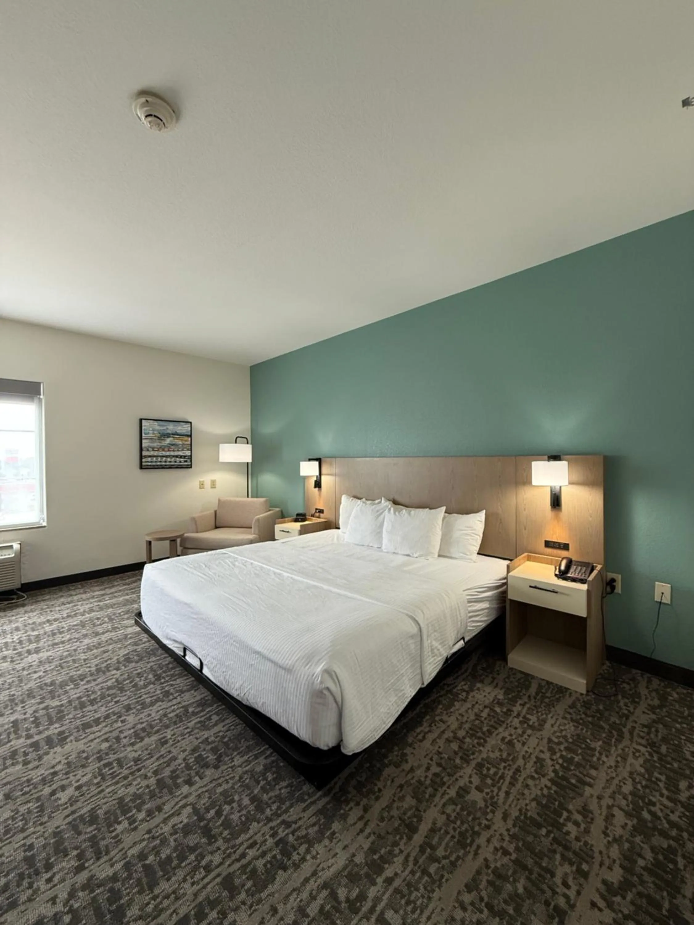 Deluxe King Room with Bath Tub - Mobility Accessible/Non-Smoking in La Quinta by Wyndham Searcy