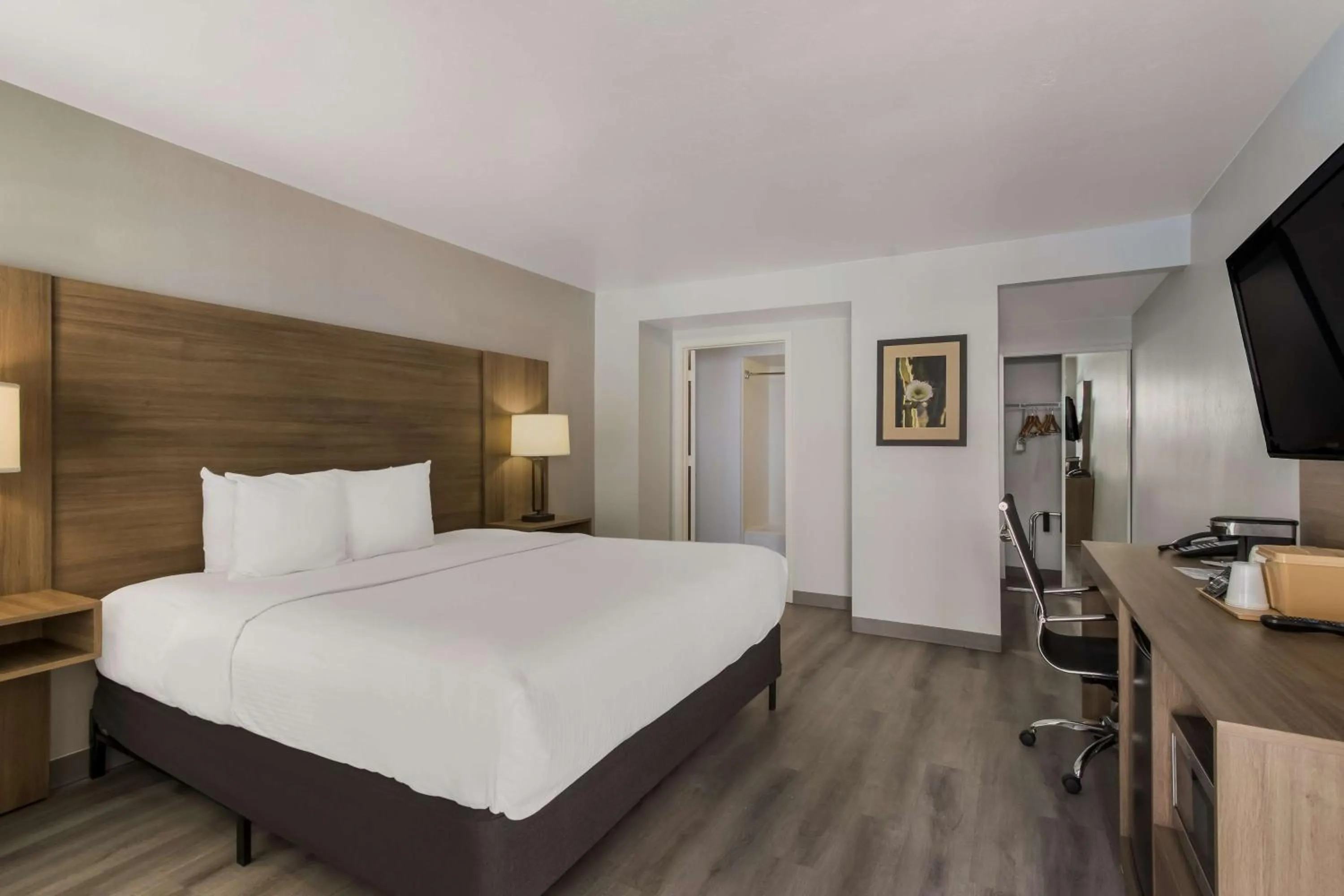 King Room - Non-Smoking in SureStay Plus Hotel by Best Western Tempe University