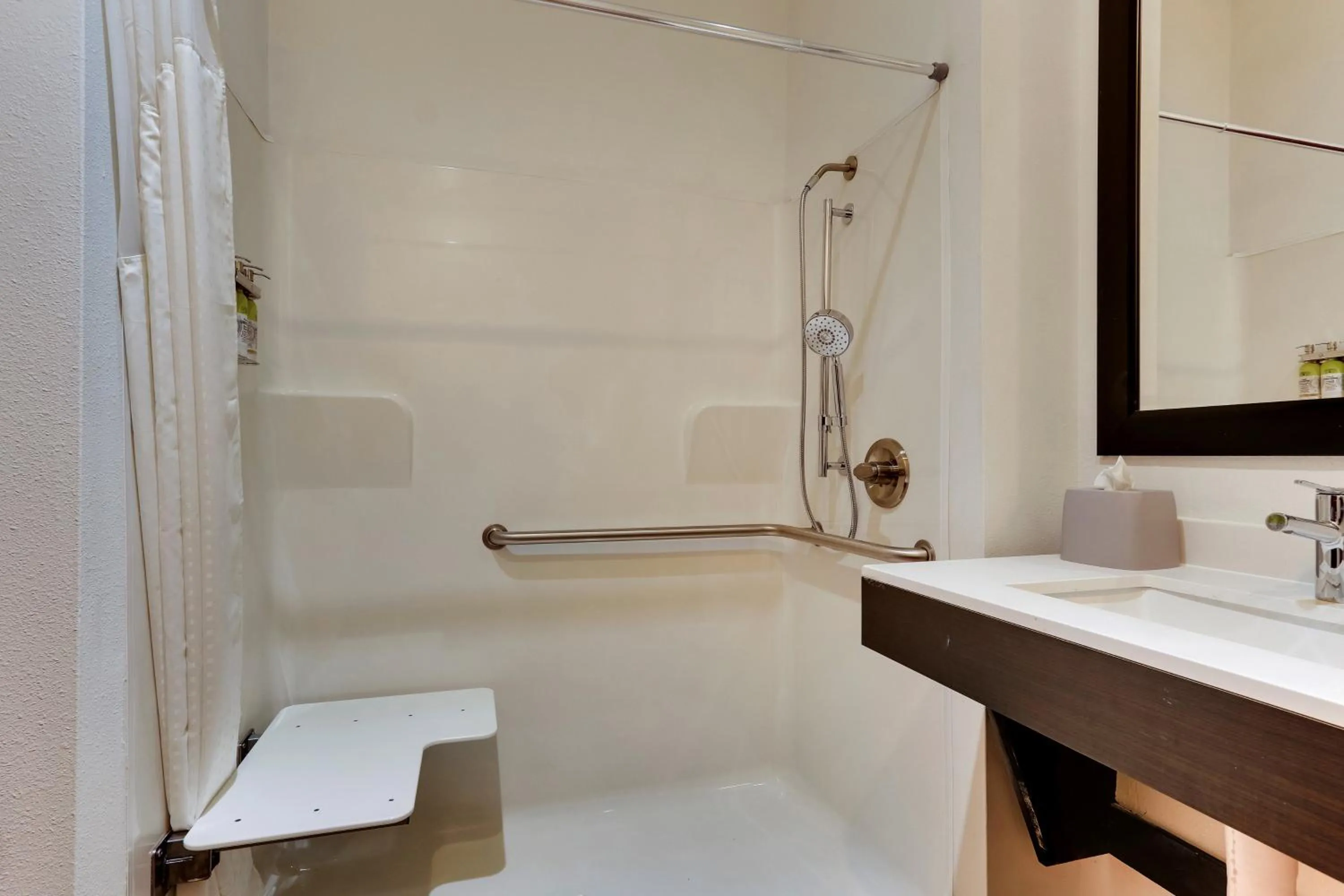 Queen Room - Mobility Access Roll in Shower/Non-Smoking in Holiday Inn Express & Suites - Ardmore by IHG