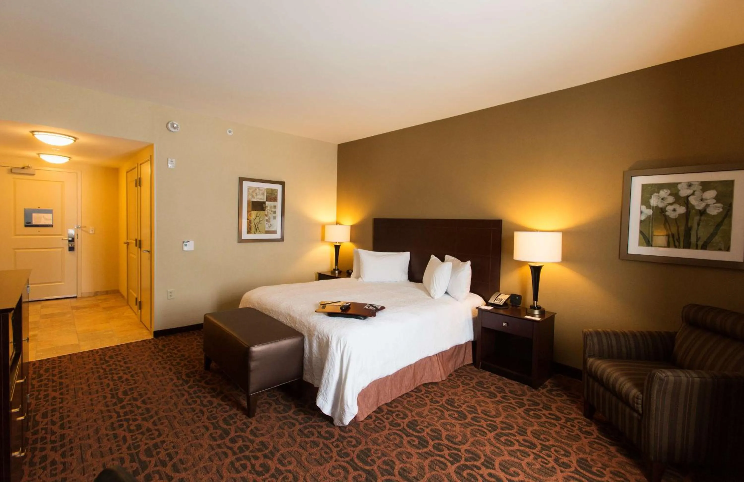 King Room with Bathtub and Water View - Disability Access in Hampton Inn Marquette-Waterfront