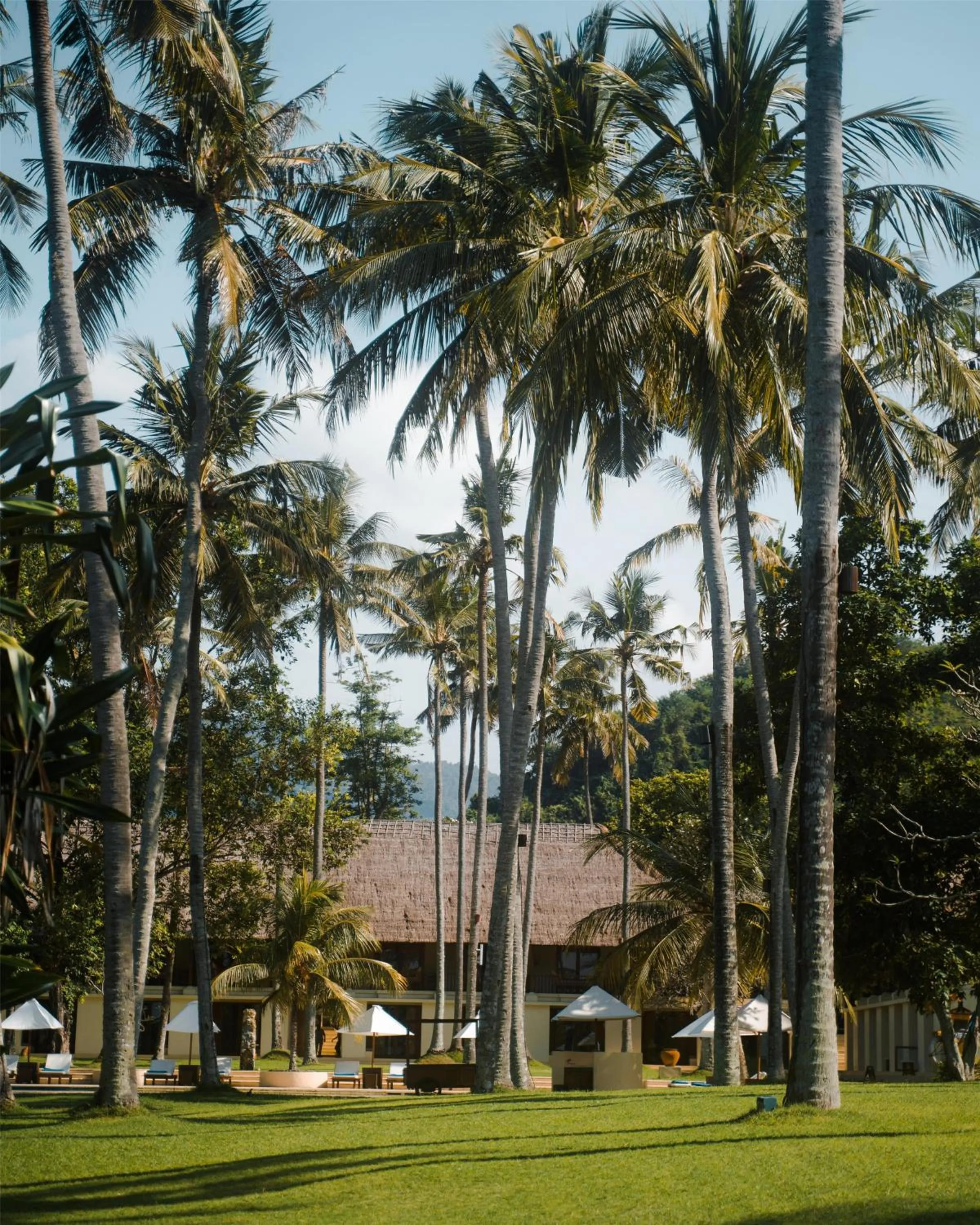 Deluxe Twin Room in Alila Manggis