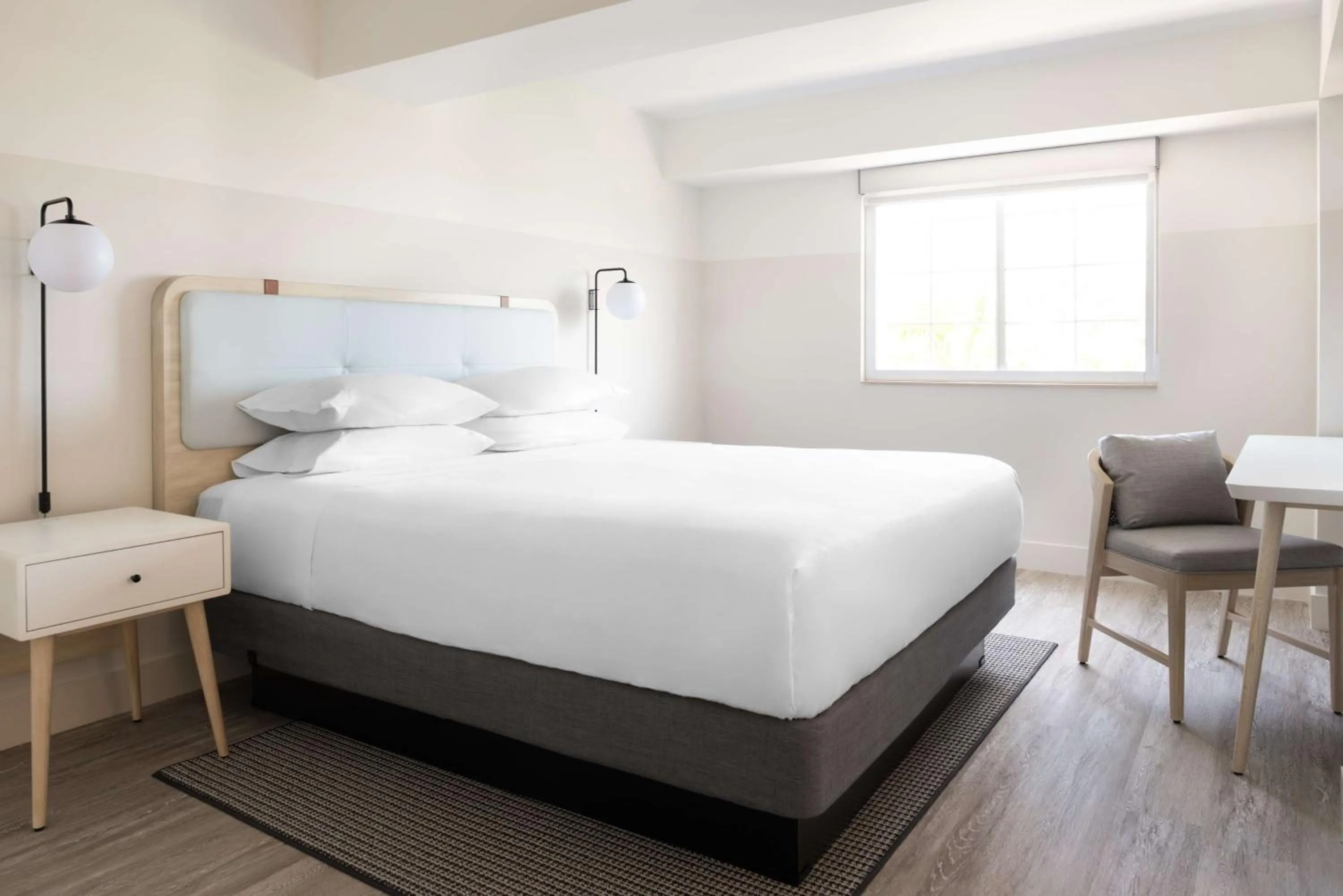 Deluxe Studio with One King Bed and Sofa Bed in Hampton by Hilton Grand Cayman Seven Mile Beach