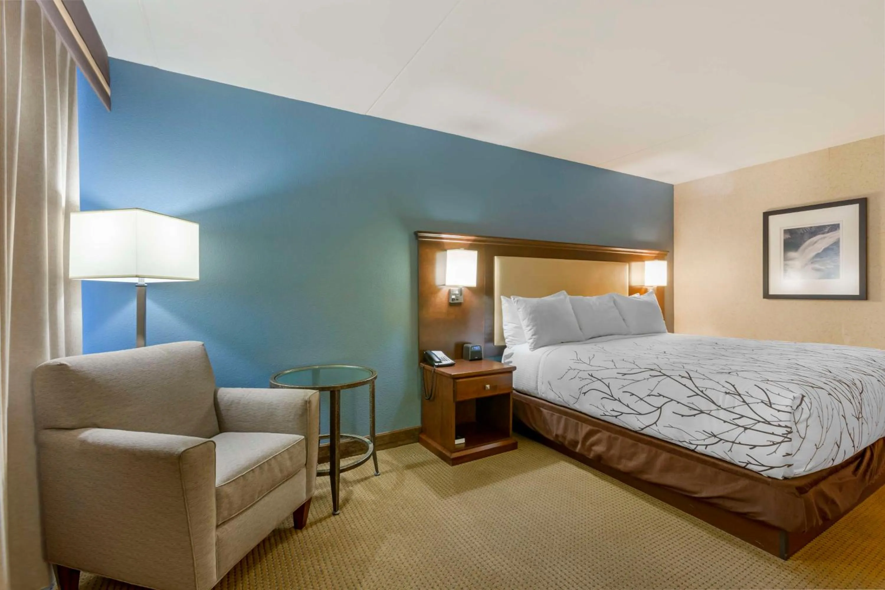 King Room with One King Bed and Bath Tub - Disability Access - Non Smoking in Best Western Plus Coeur d'Alene Inn