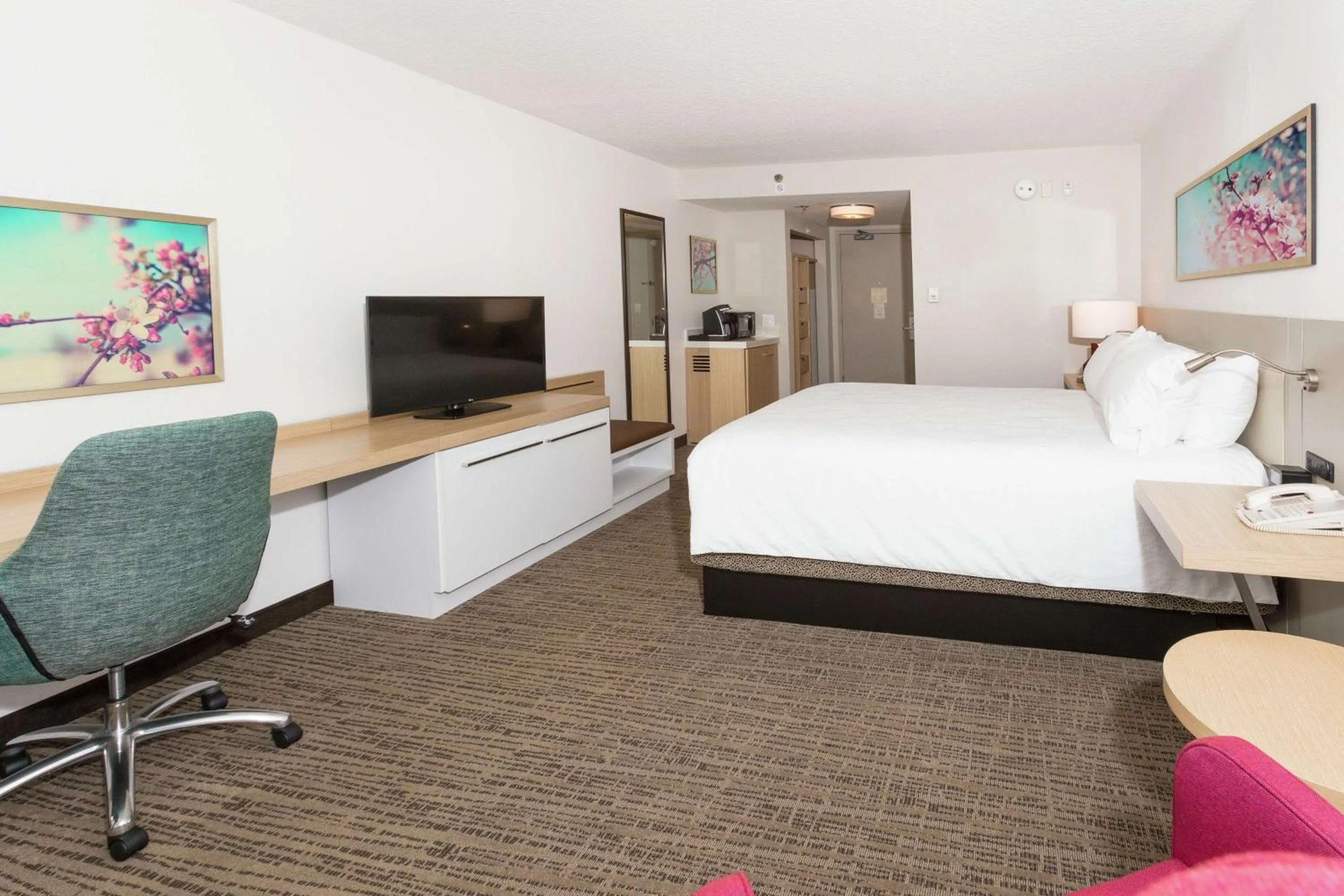 Deluxe King Room in Hilton Garden Inn Saint Augustine Beach