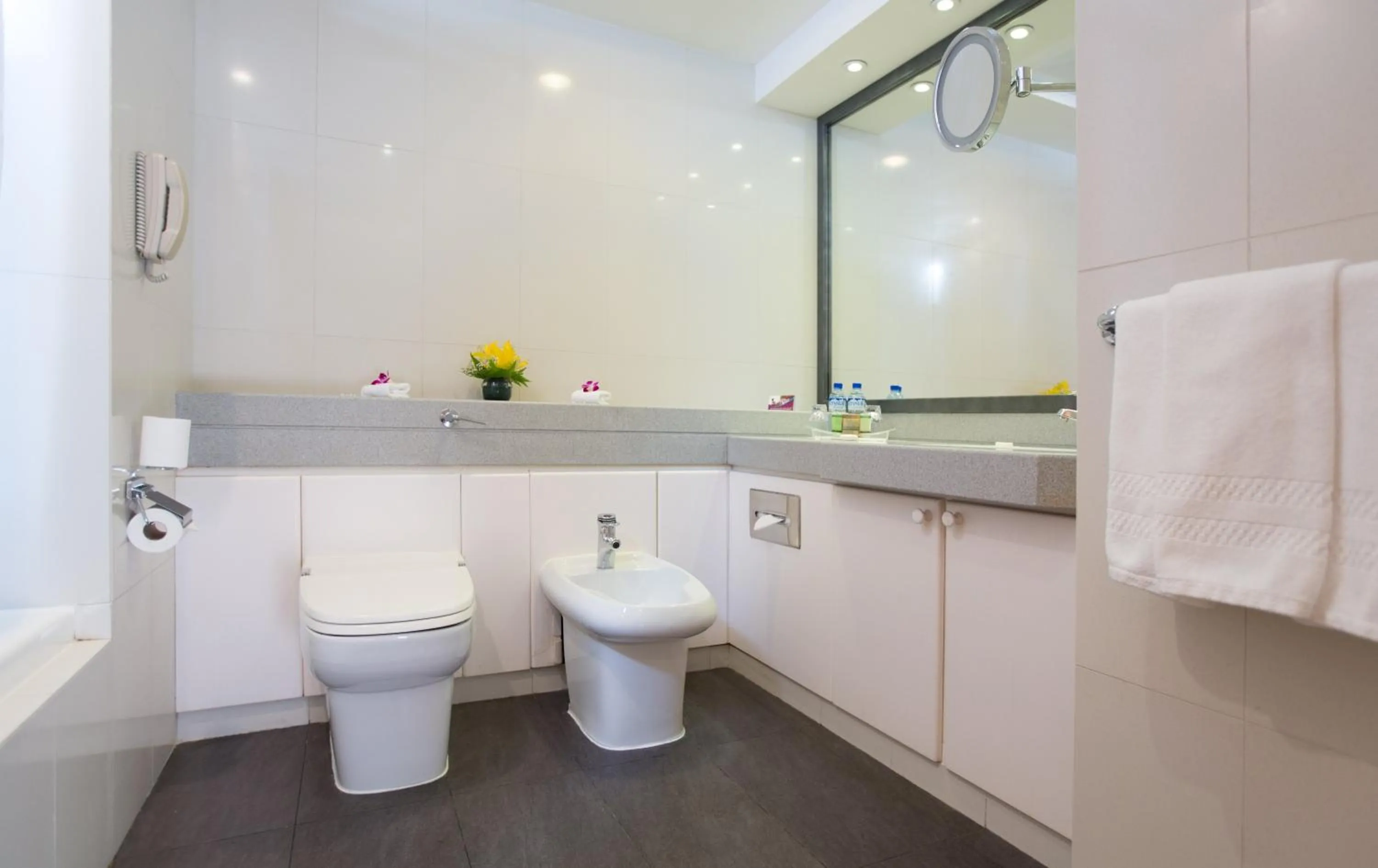 Two Bedroom Suite in Millennium Plaza Downtown Suites