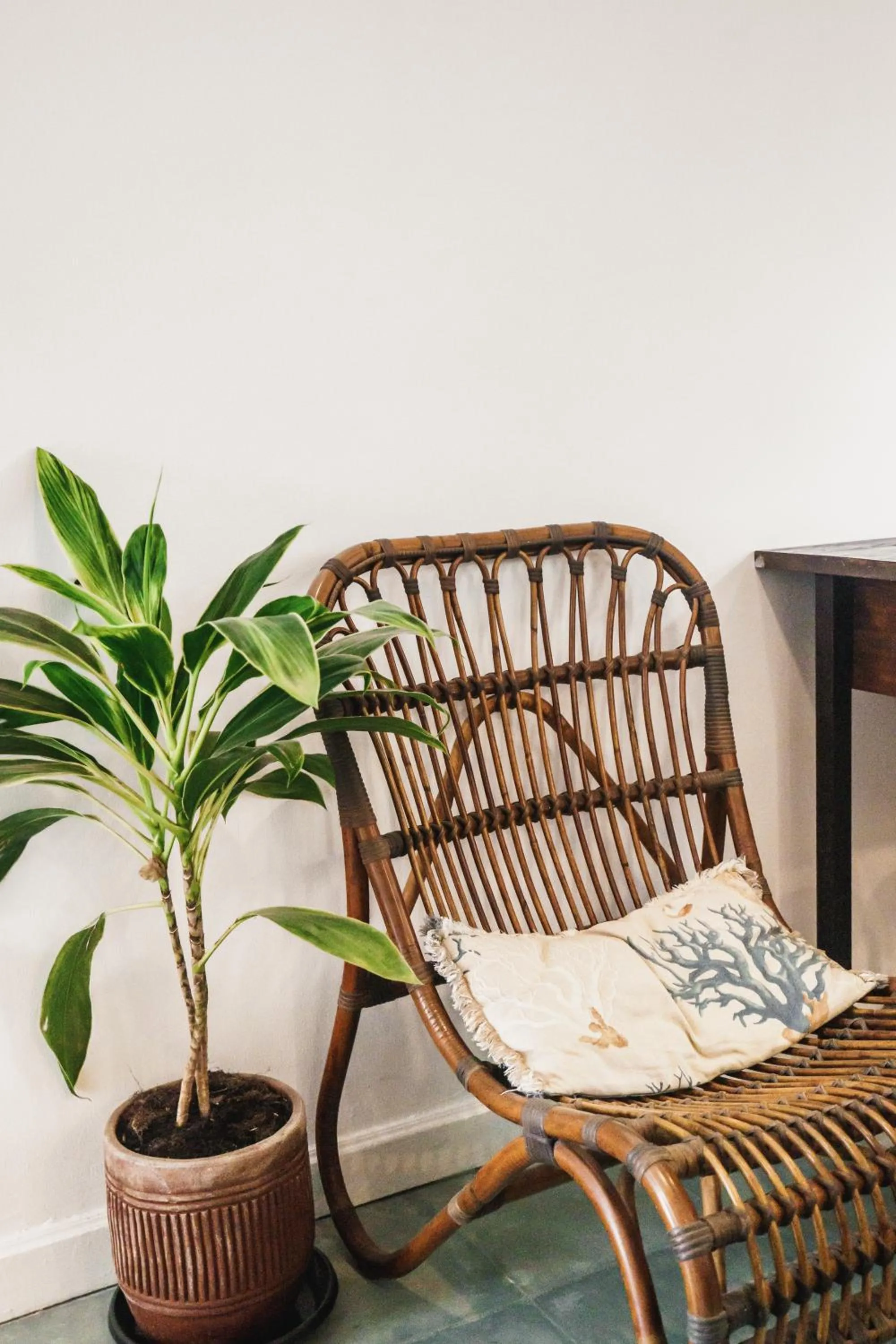 Ahusaka Standard Twin Room in Brown Feather Hotel