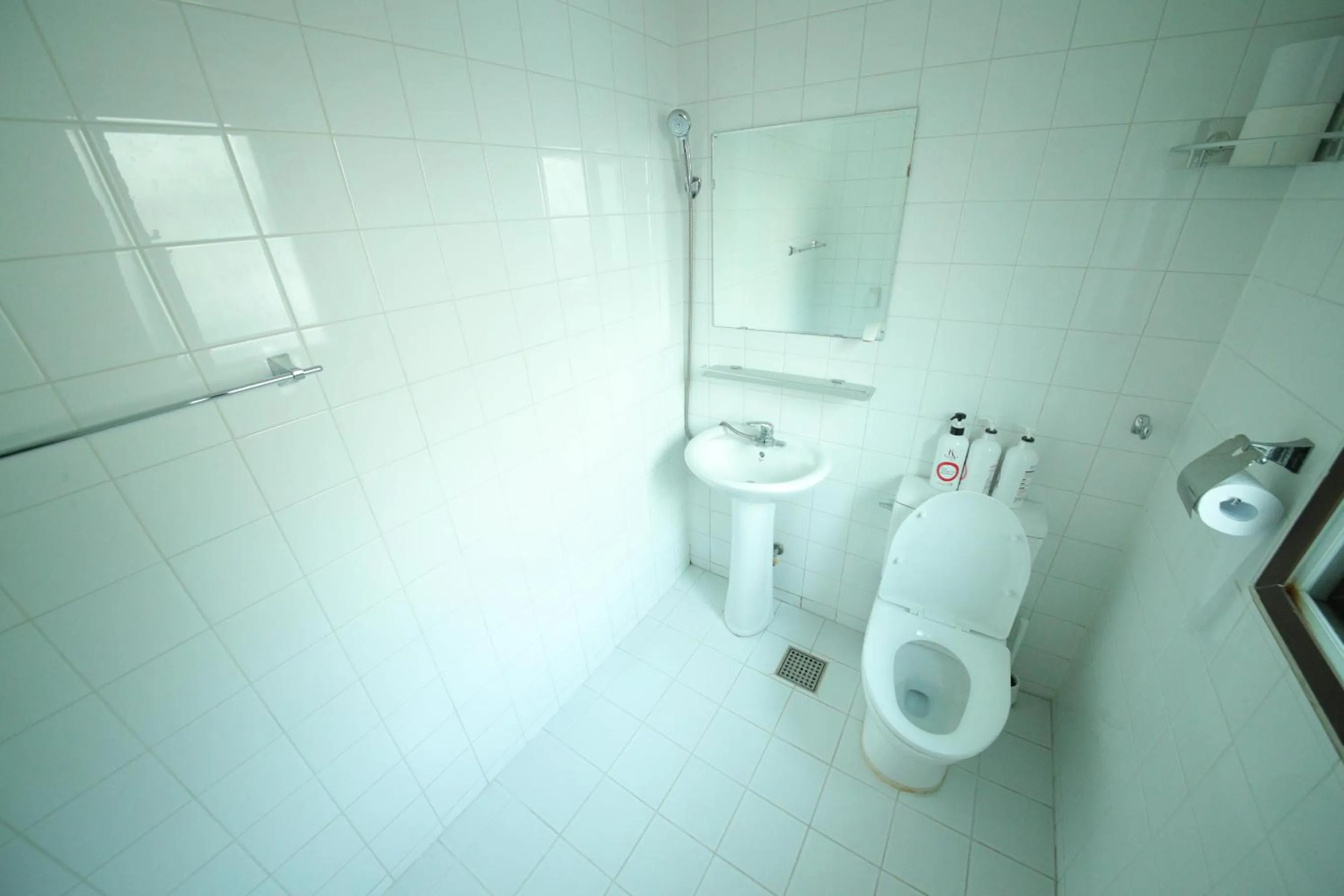 Triple Room with Private Bathroom in Stitches House