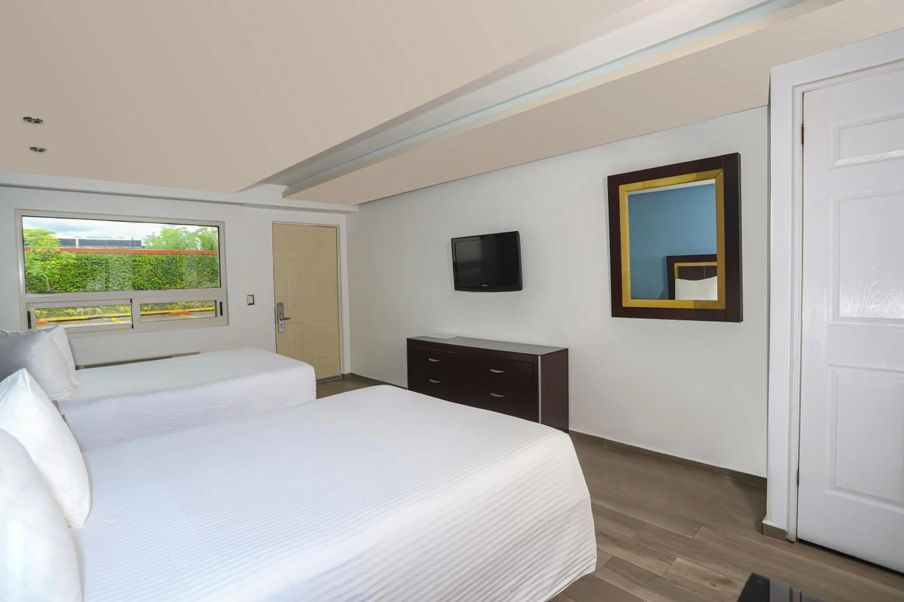 Double Room in Quinta Dorada Hotel & Suites