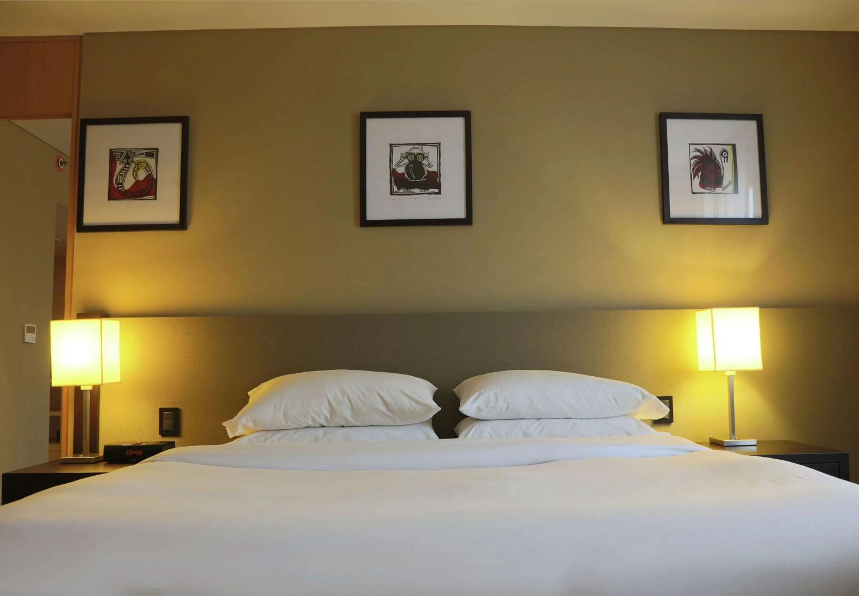 King Room - single occupancy in Hilton Garden Inn Tucuman