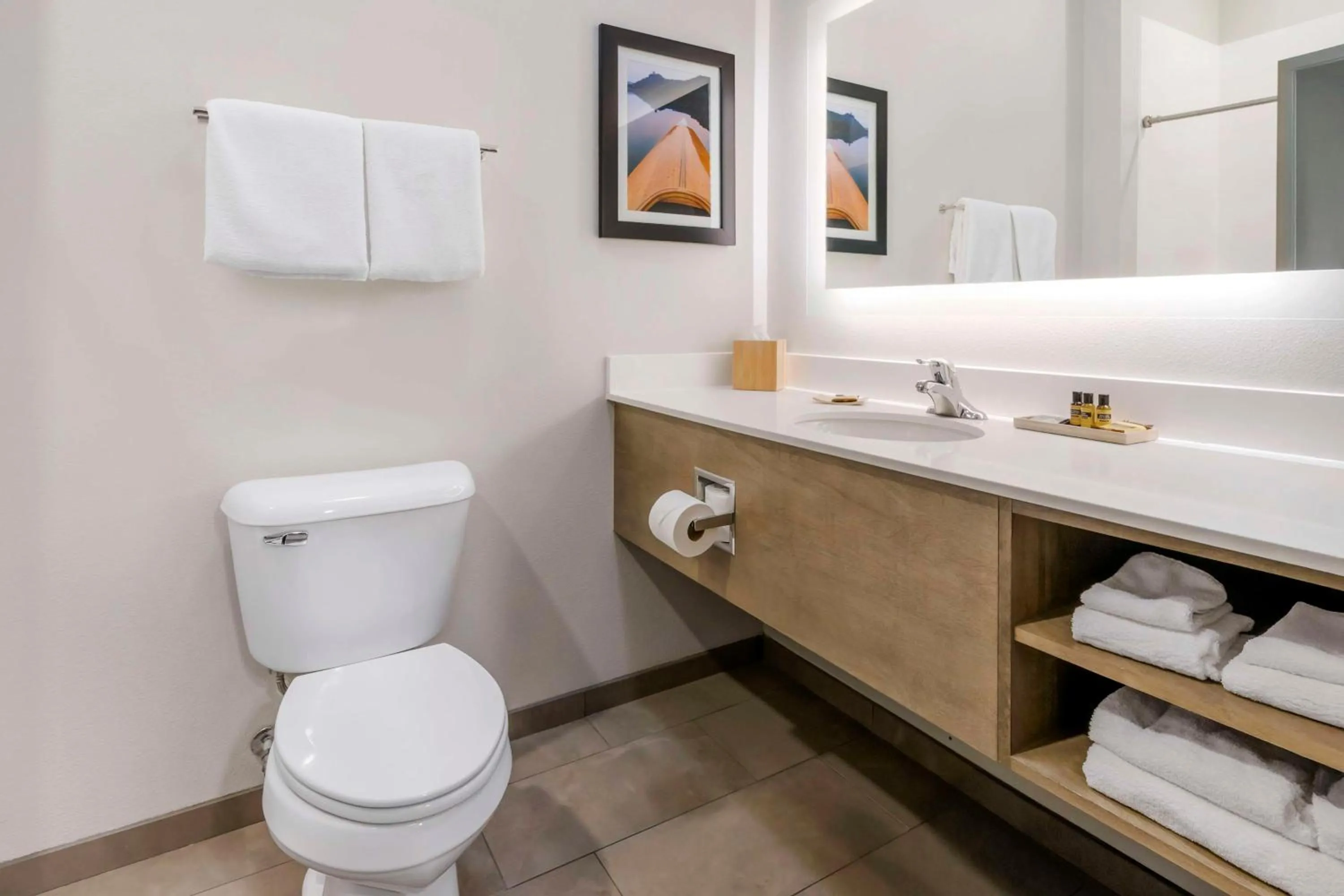 King Room with Roll-In Shower - Disability Access in Best Western Plus LaCrescent - LaCrosse