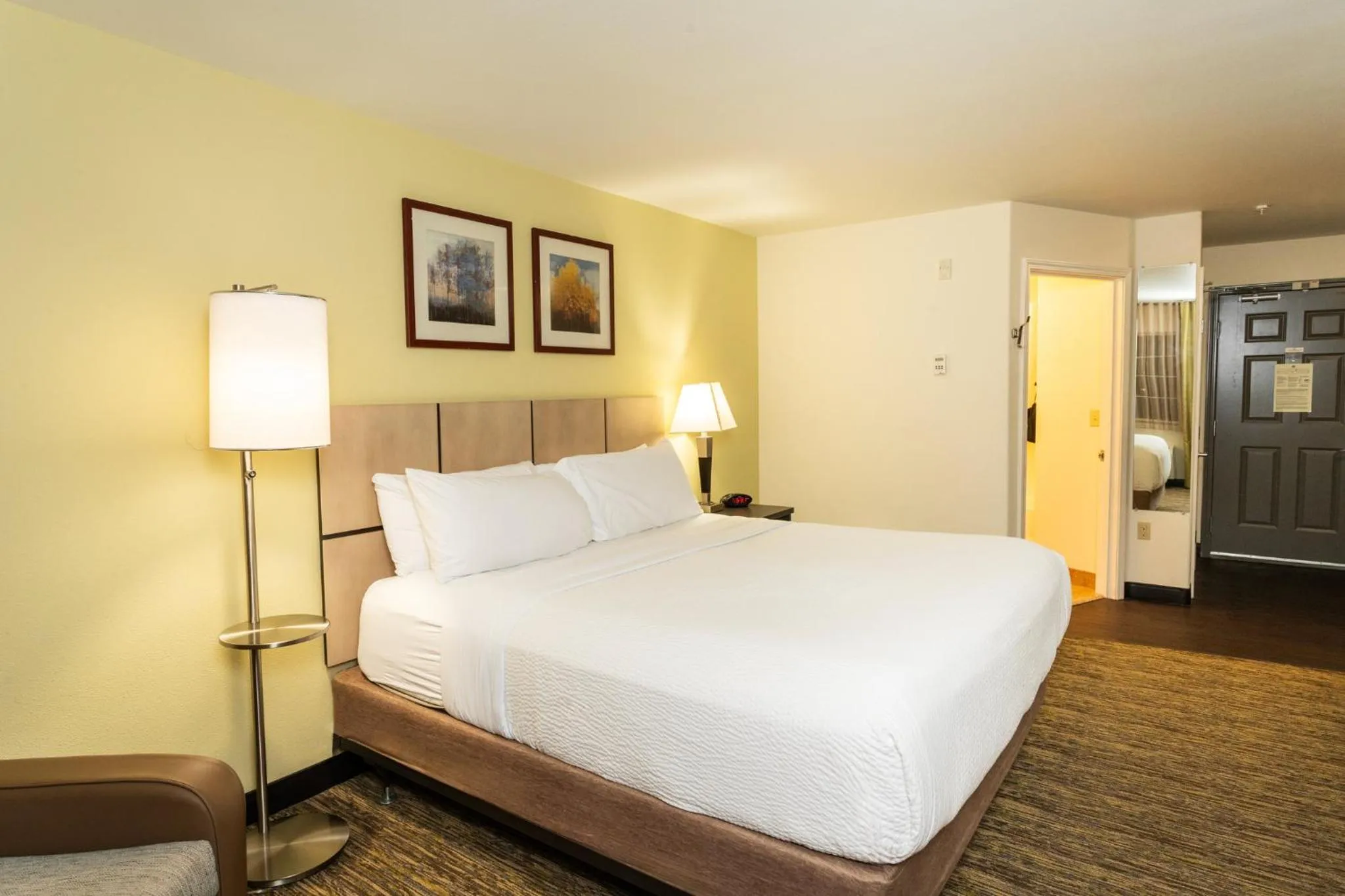 King Studio Suite in Candlewood Suites Roswell by IHG