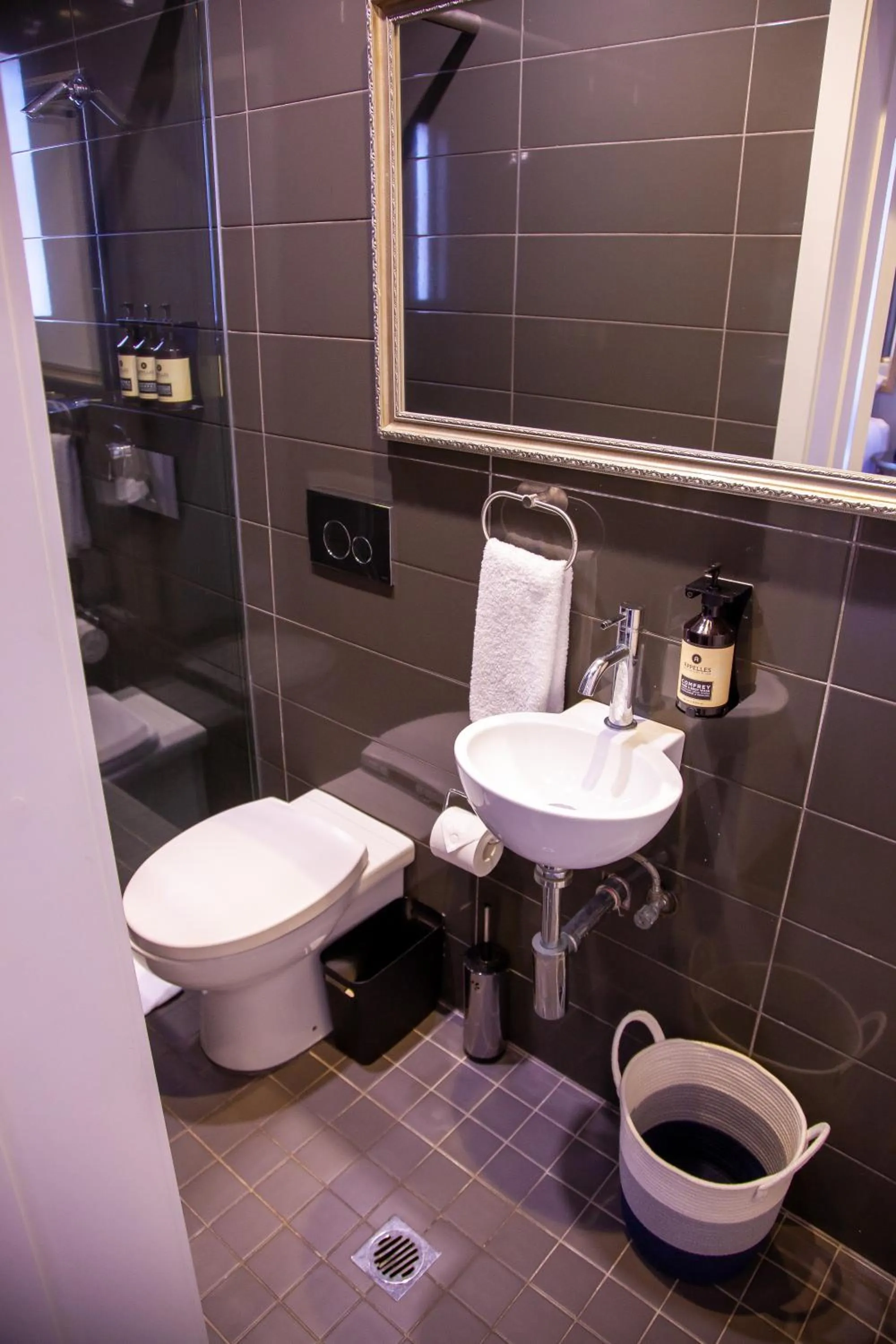 Executive Twin/Triple Suite with Shared Bathroom in Bayswater Boutique Lodge
