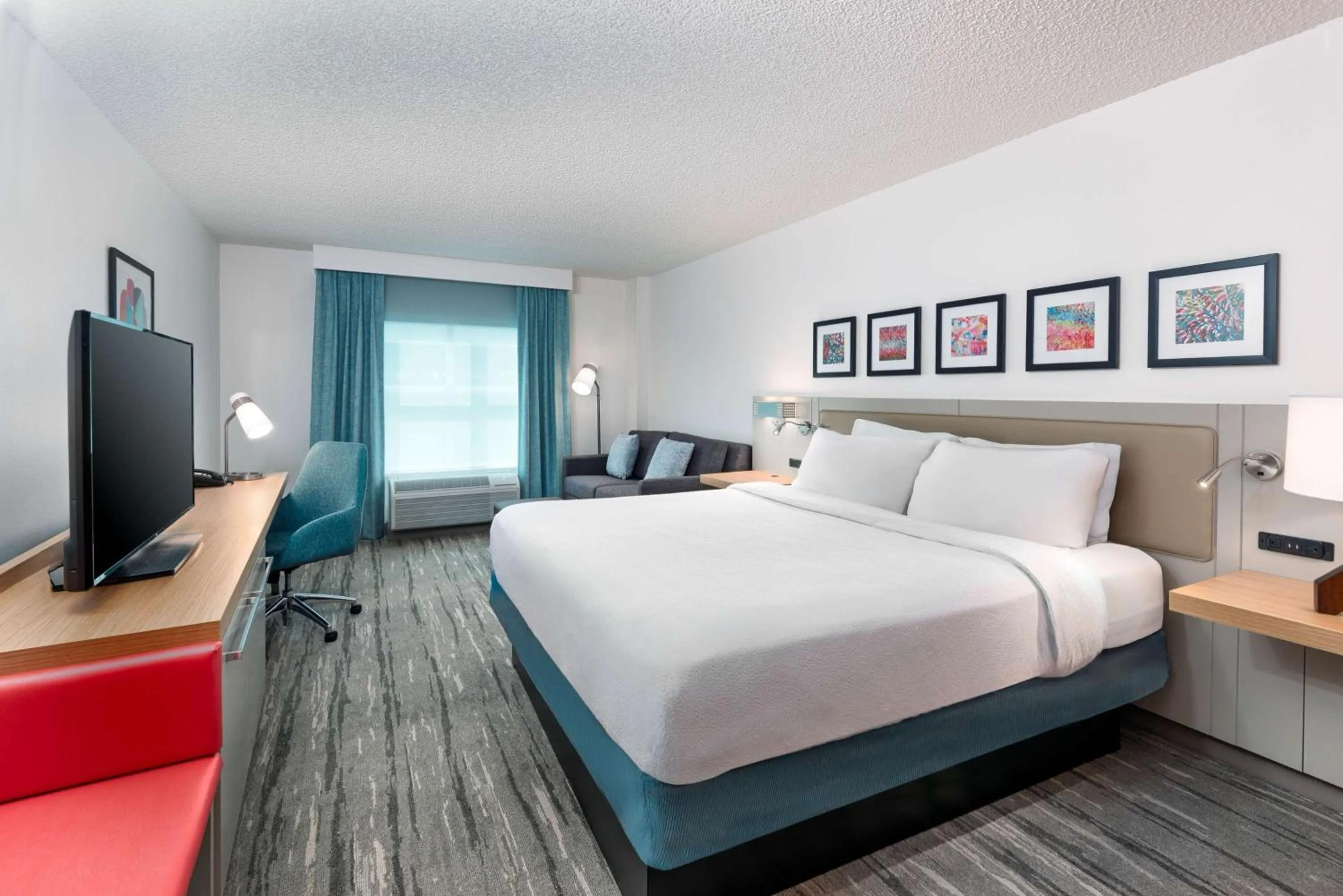 King Room with Roll-In Shower - Mobility/Hearing Accessible in Hilton Garden Inn Tampa Airport/Westshore
