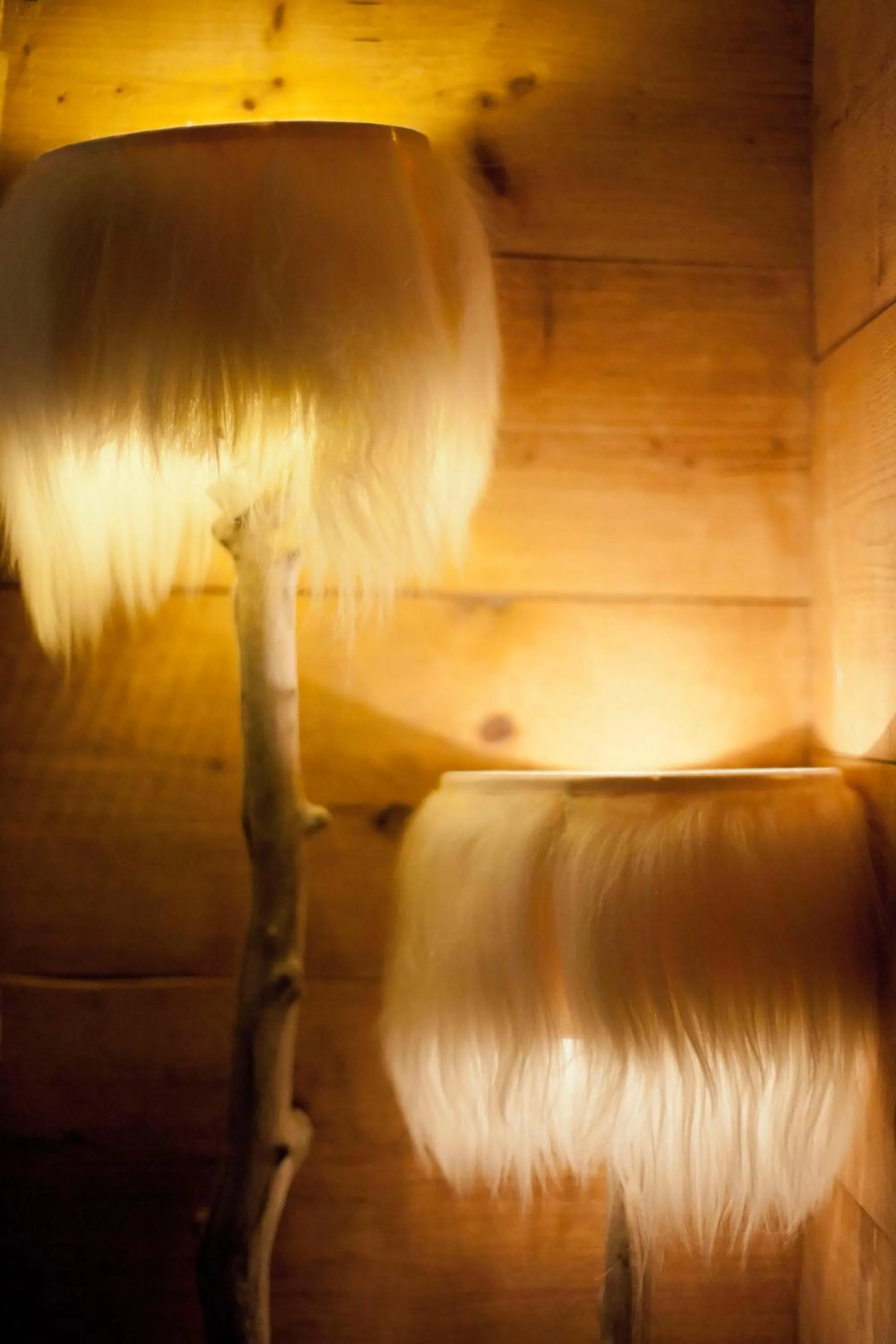 Junior Suite in Chalet Svizzero