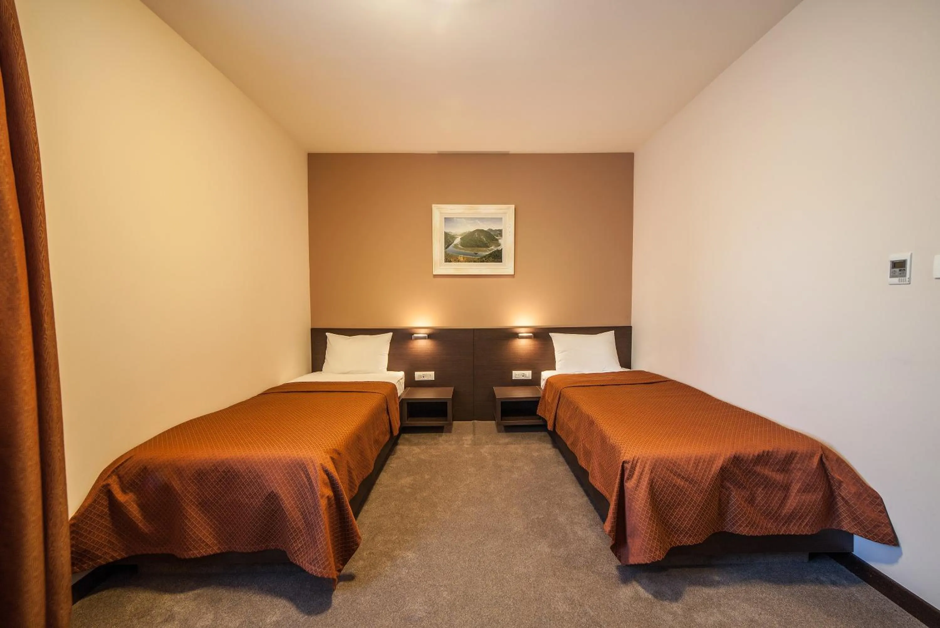Twin Room - single occupancy in Hotel Terminus