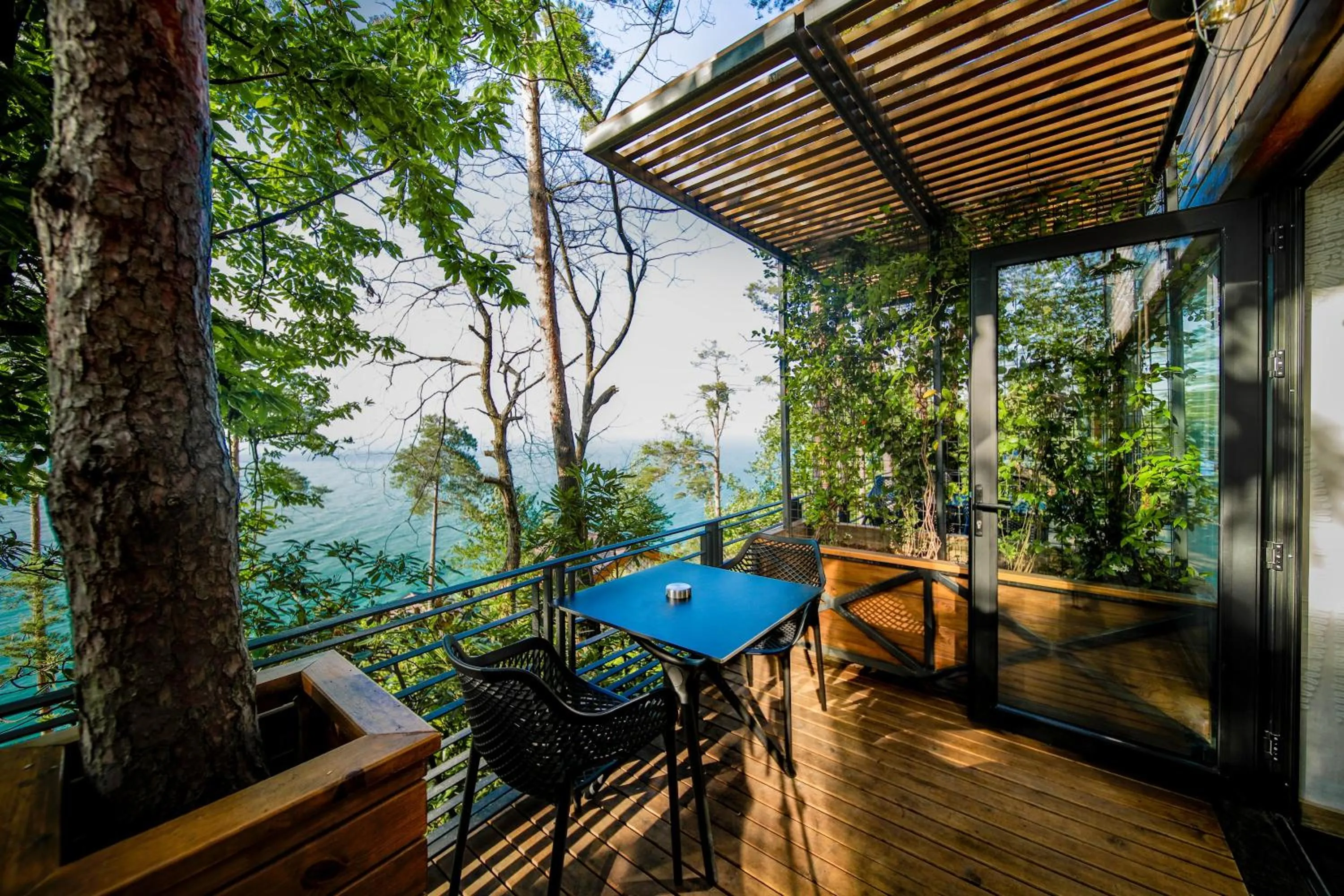 Deluxe Junior Suite in Hancioglu Orman Evleri & Hotel