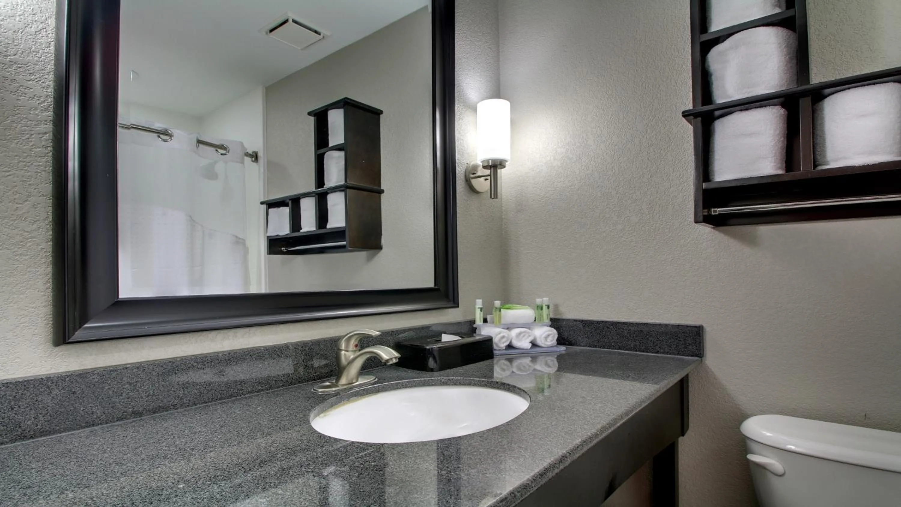 Standard King Room in Holiday Inn Express & Suites Jackson Downtown - Coliseum by IHG