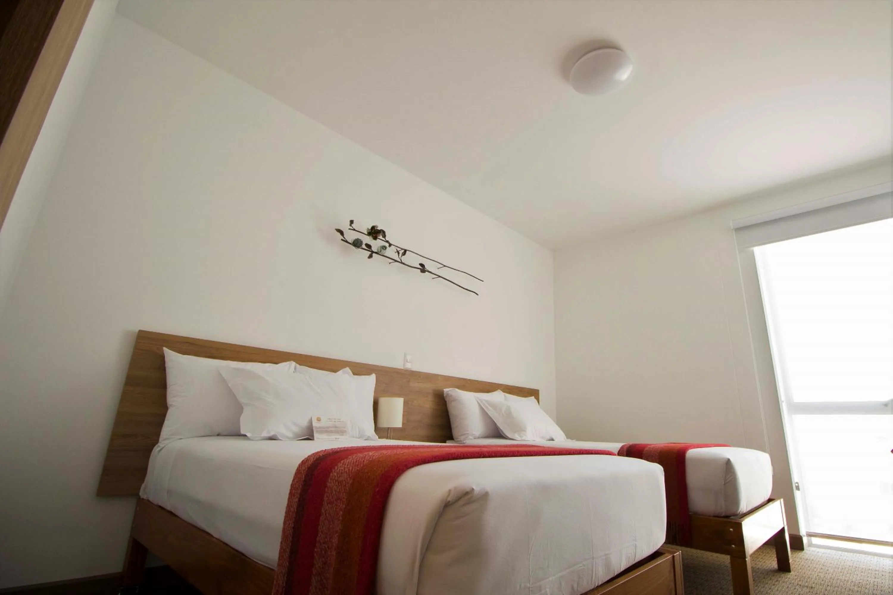 Standard Double or Twin Room in Tierra Viva Miraflores Centro