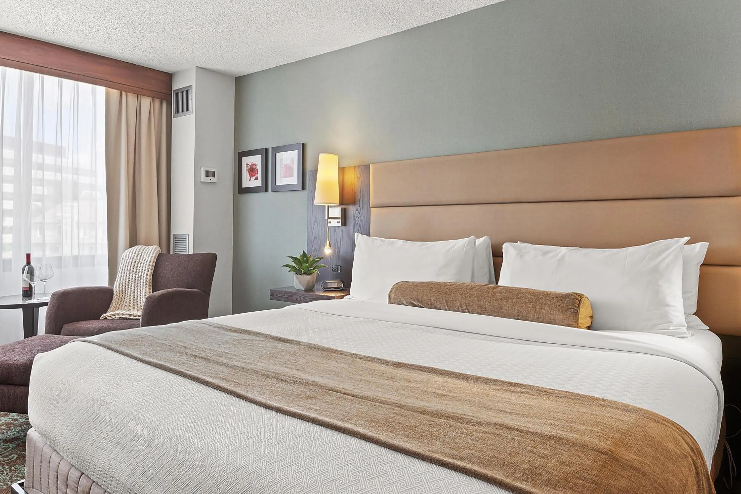 Executive Suite - Non-Smoking in The Armon Stamford Hotel & Conference Center