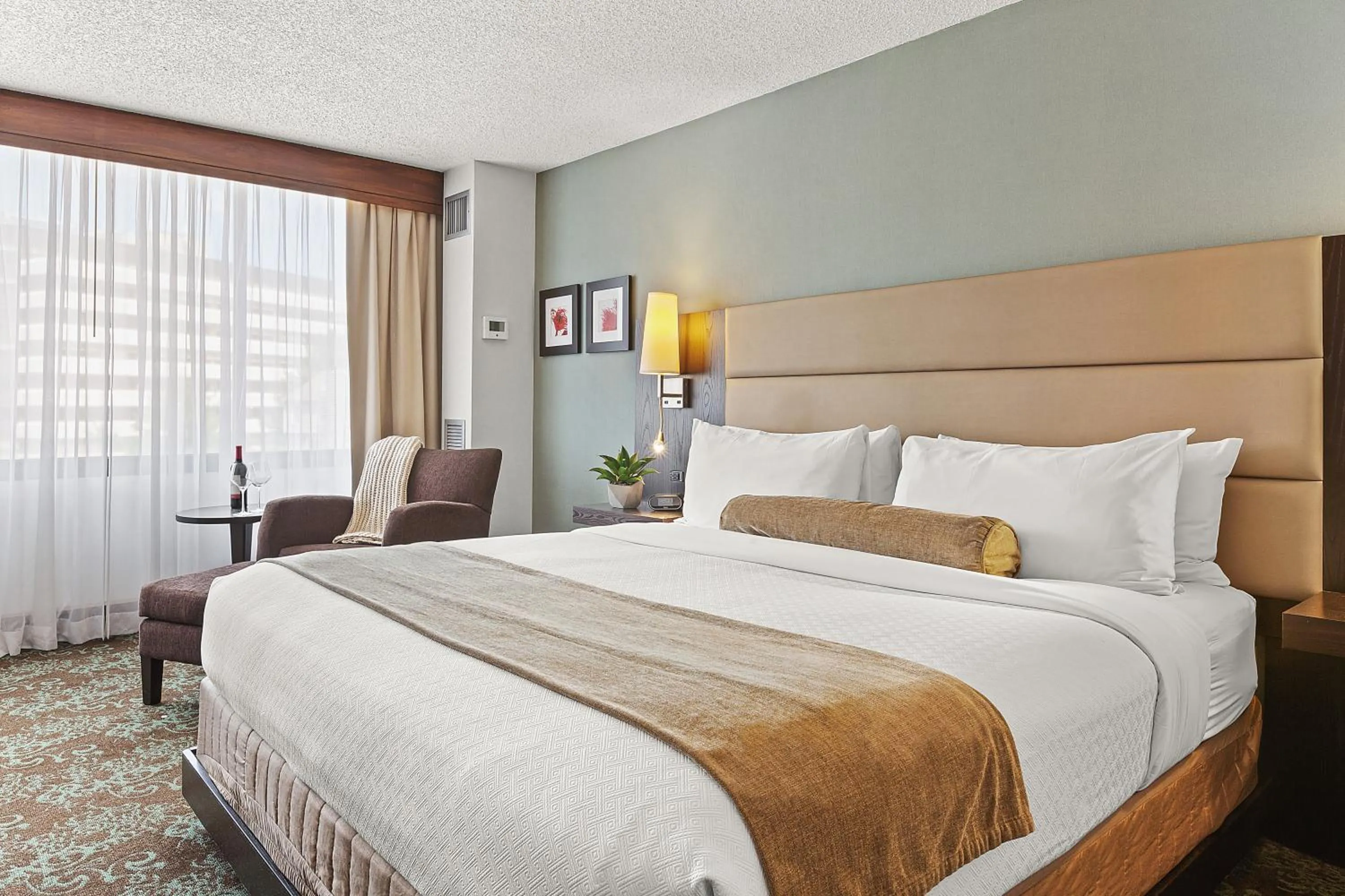 Junior Suite in The Armon Stamford Hotel & Conference Center