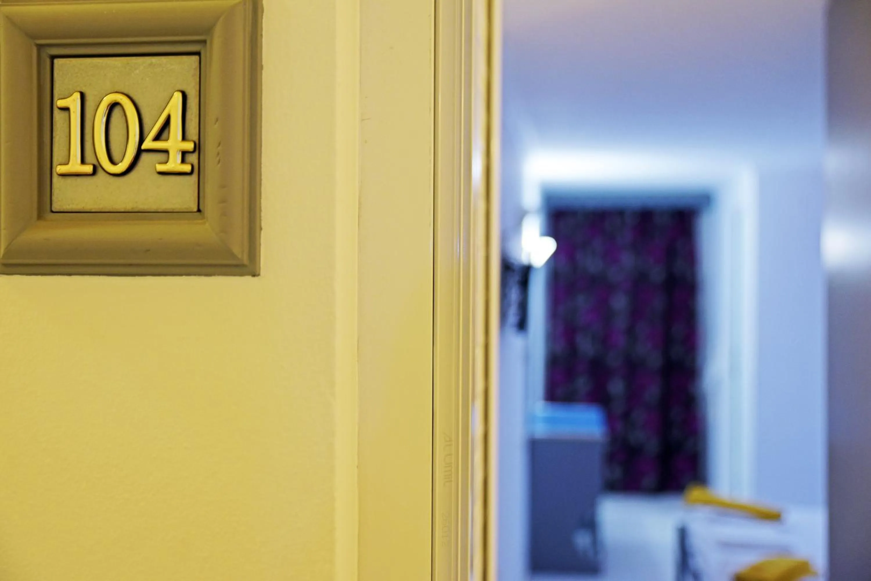 Studio (2 Adults) in Falirala Central