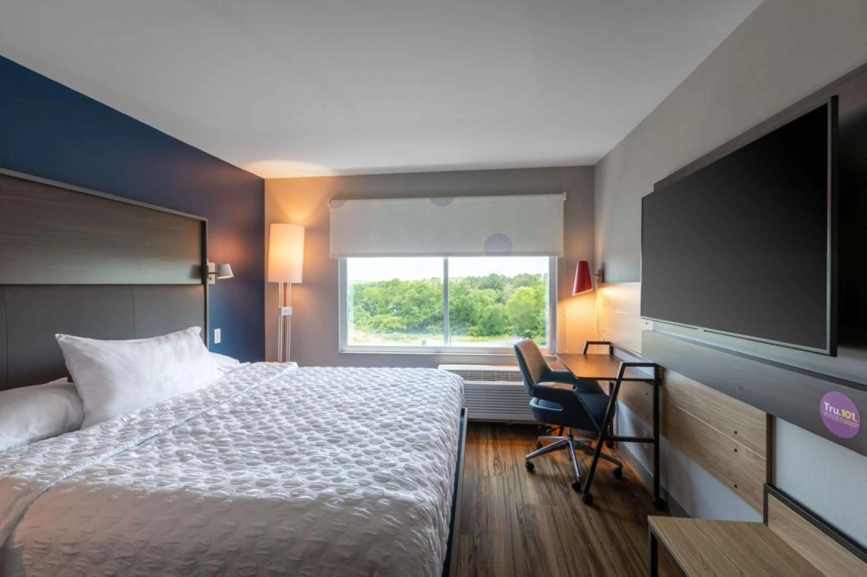 King Room - Hearing Access in Tru By Hilton Seneca Clemson Sc